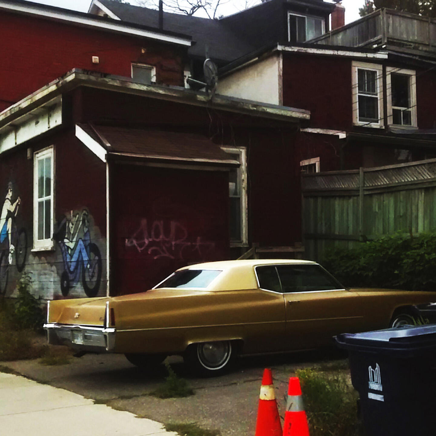 Релиз Duff Grove