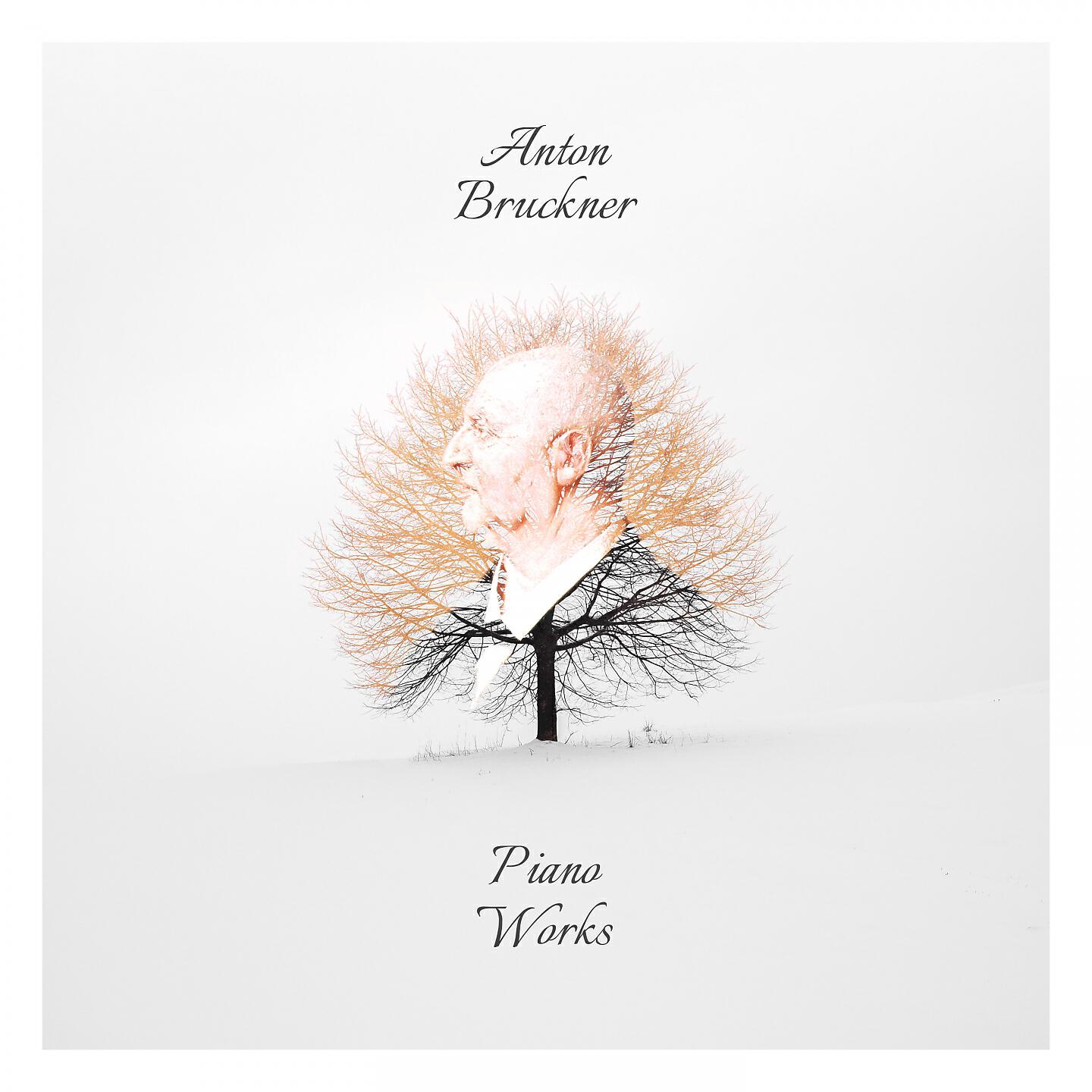 Релиз Anton Bruckner: Piano Works