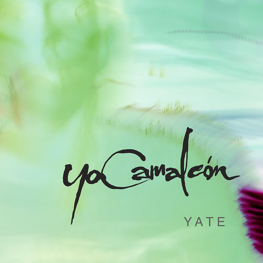 Релиз Yate