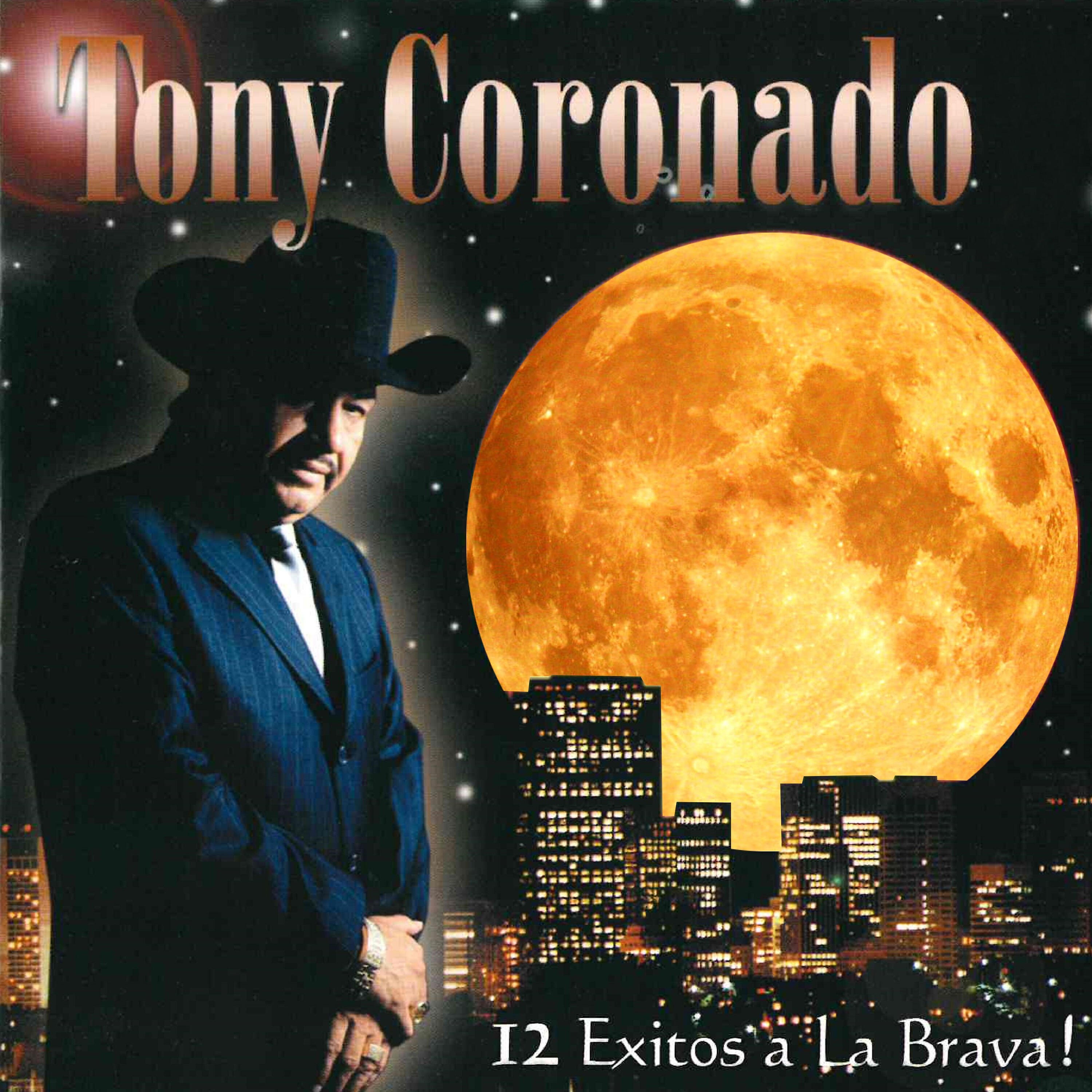 Релиз 12 Exitos a la Brava