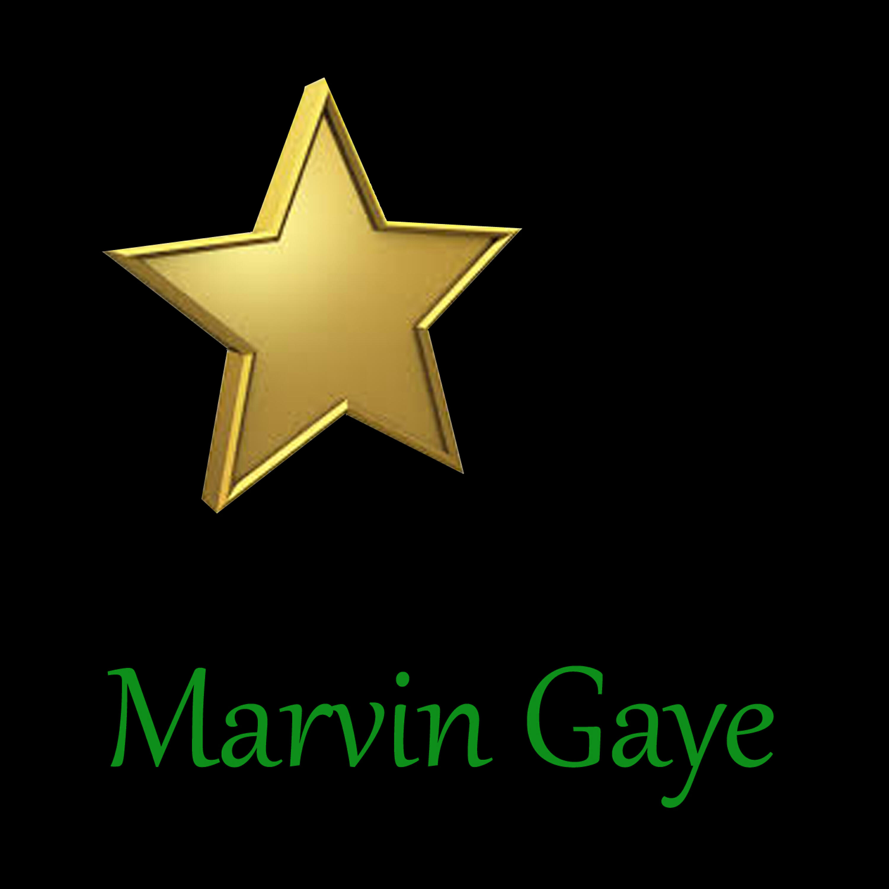 Релиз Marvin Gaye