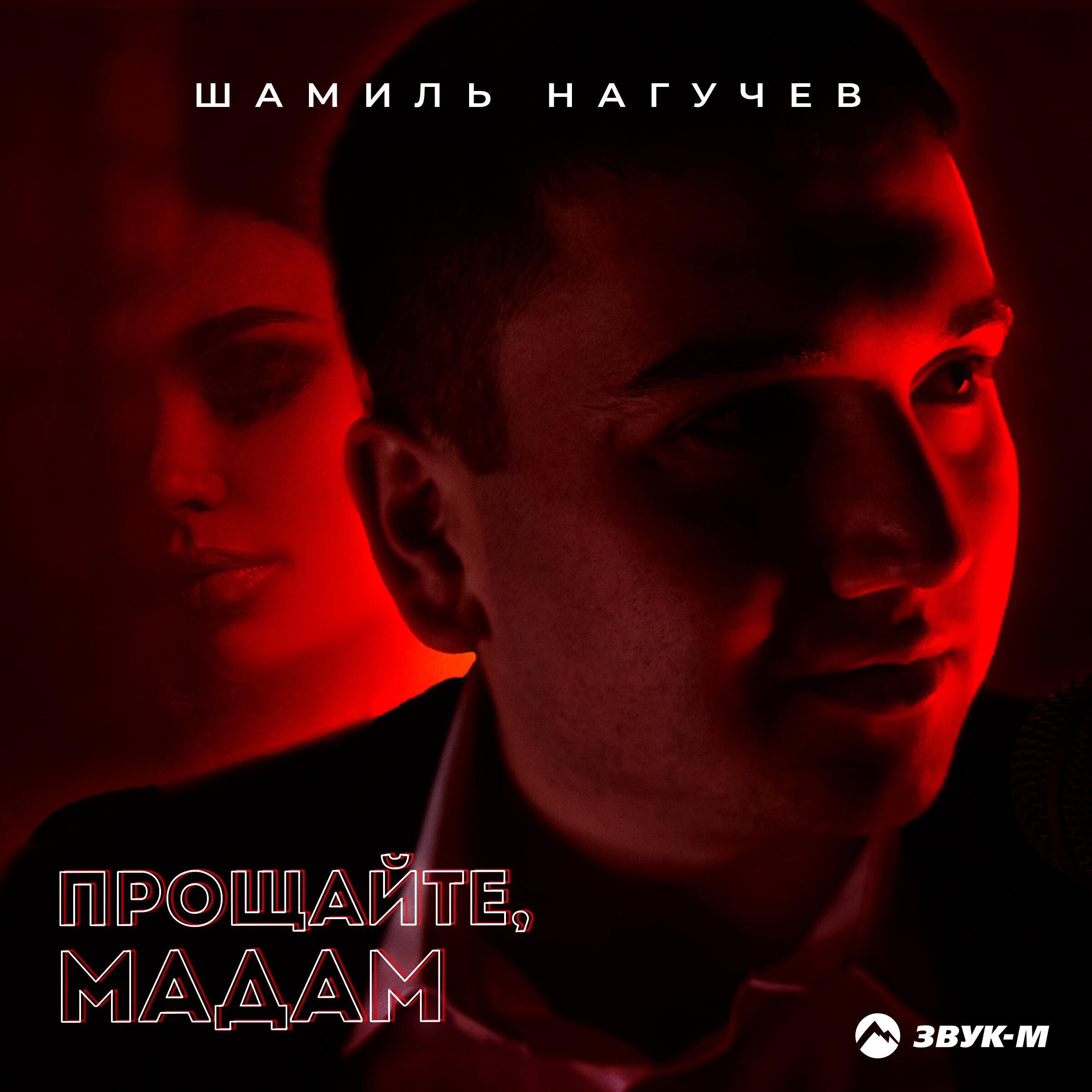 Релиз Прощайте, мадам
