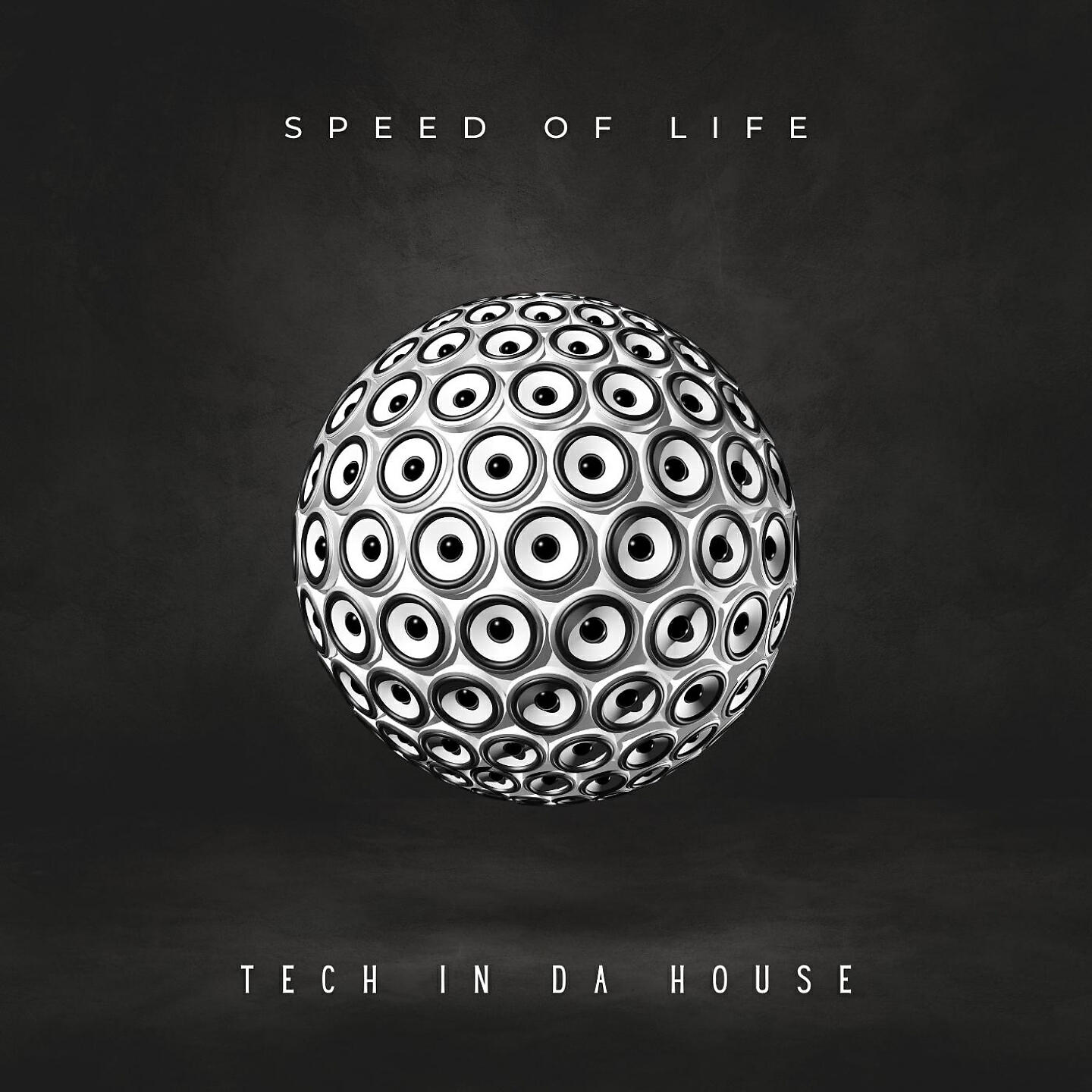 Релиз Tech In Da House