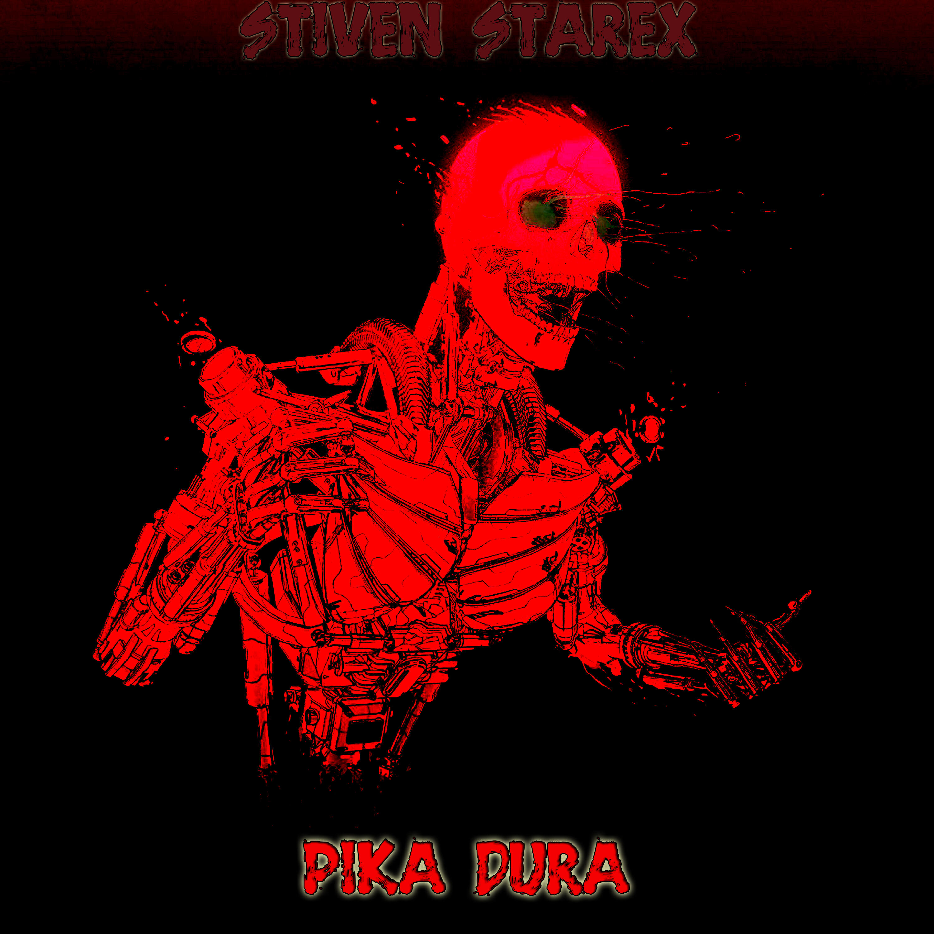 Постер альбома PIKA DURA