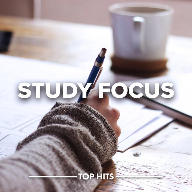 Релиз Study Focus 2022