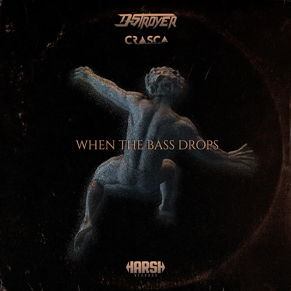 Скачать песню D-Stroyer, Crasca - When The Bass Drops (Radio Mix) бесплатно в MP3 для Android и iOS