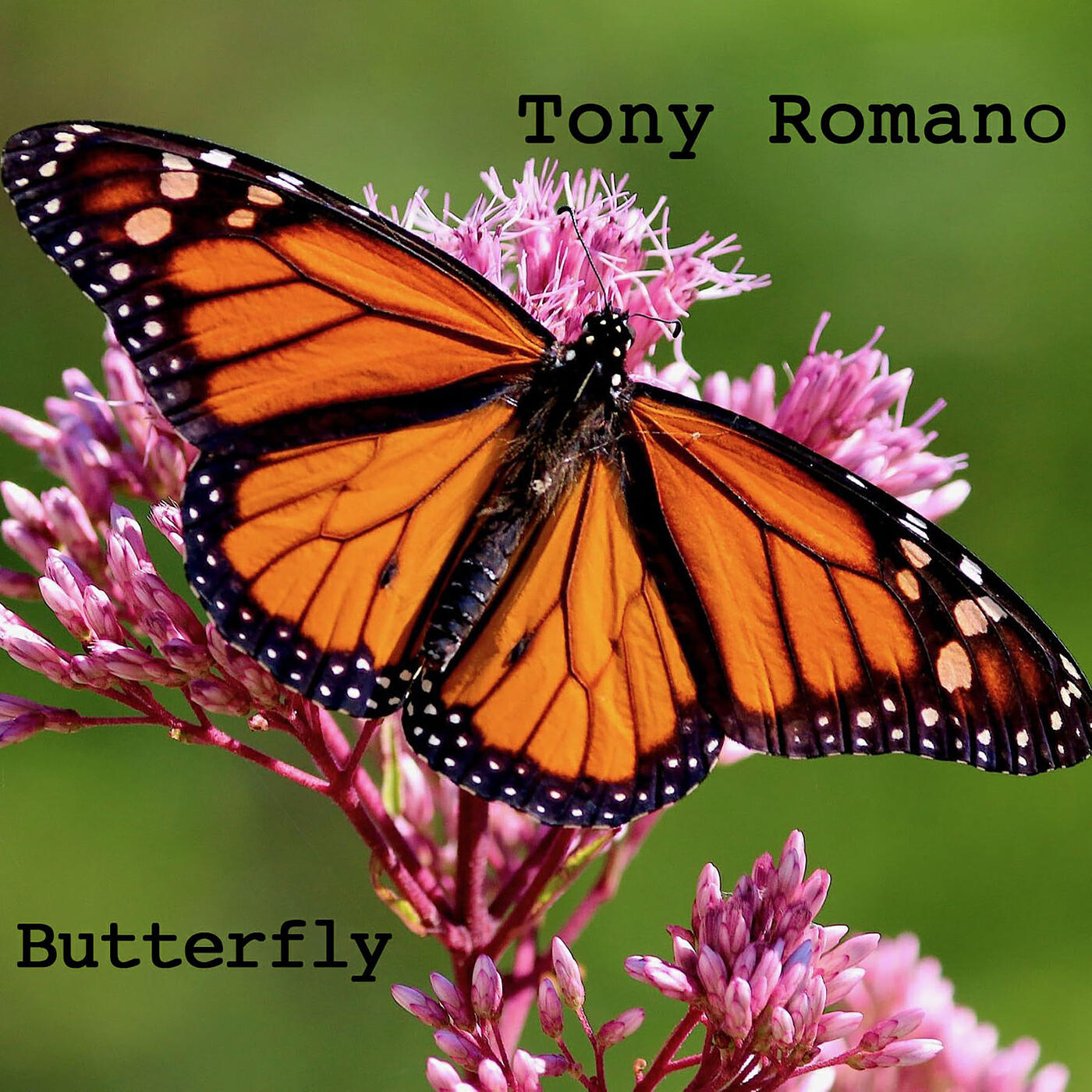 Релиз Butterfly