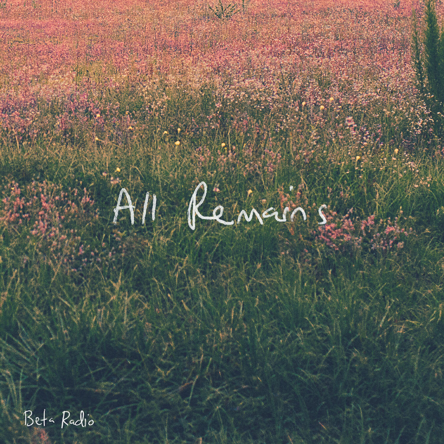 Релиз All Remains