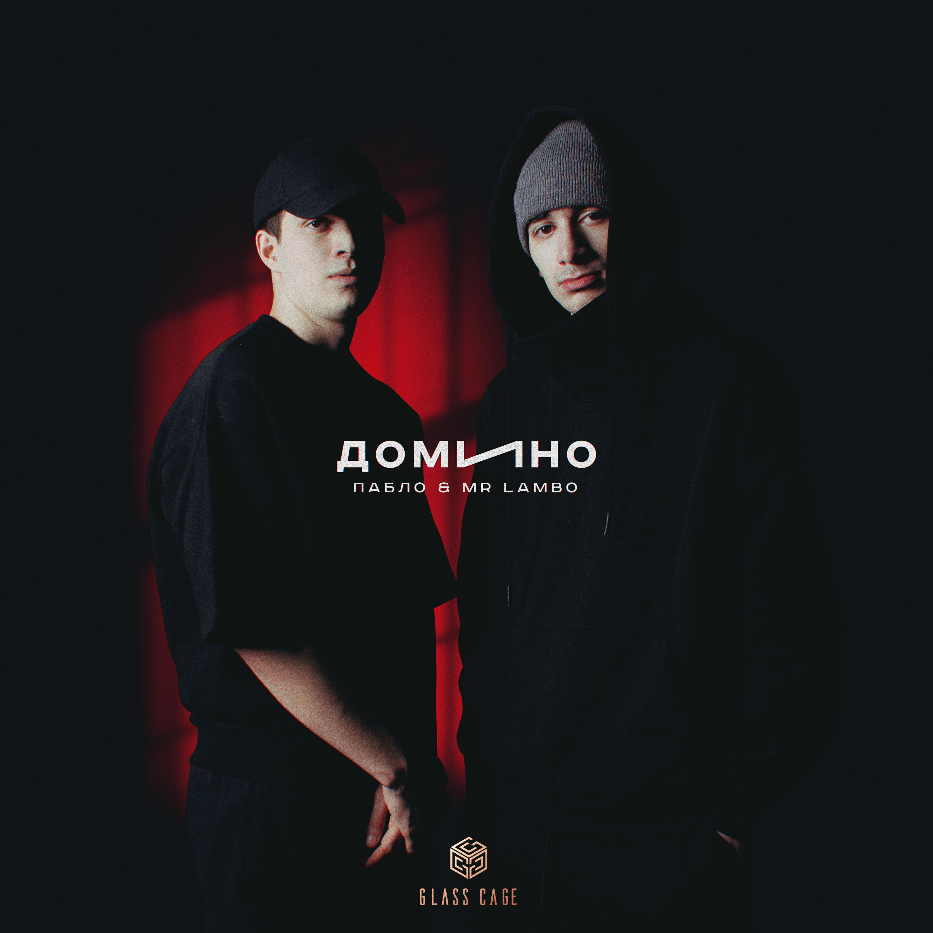 Постер альбома Домино
