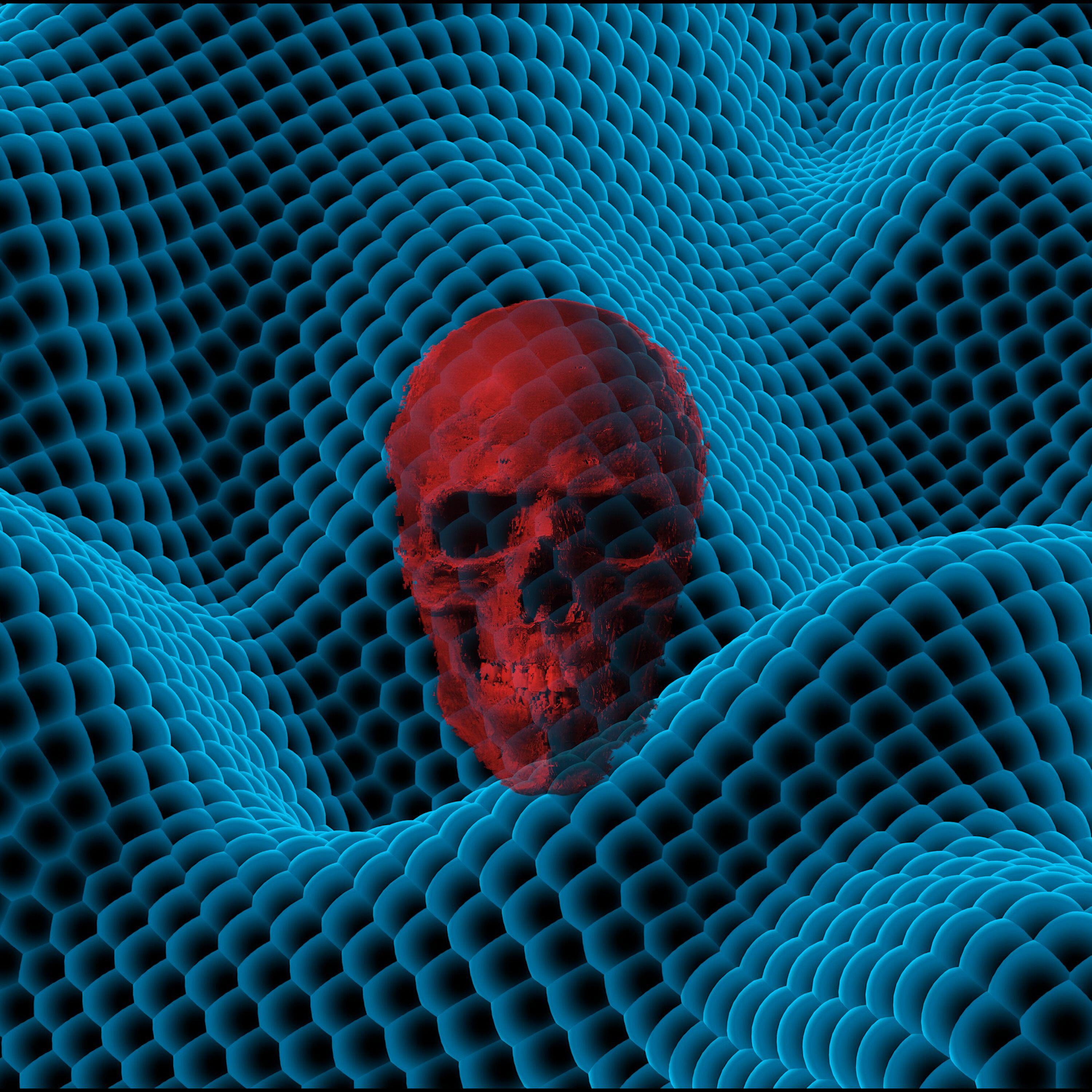 Постер альбома Morphine