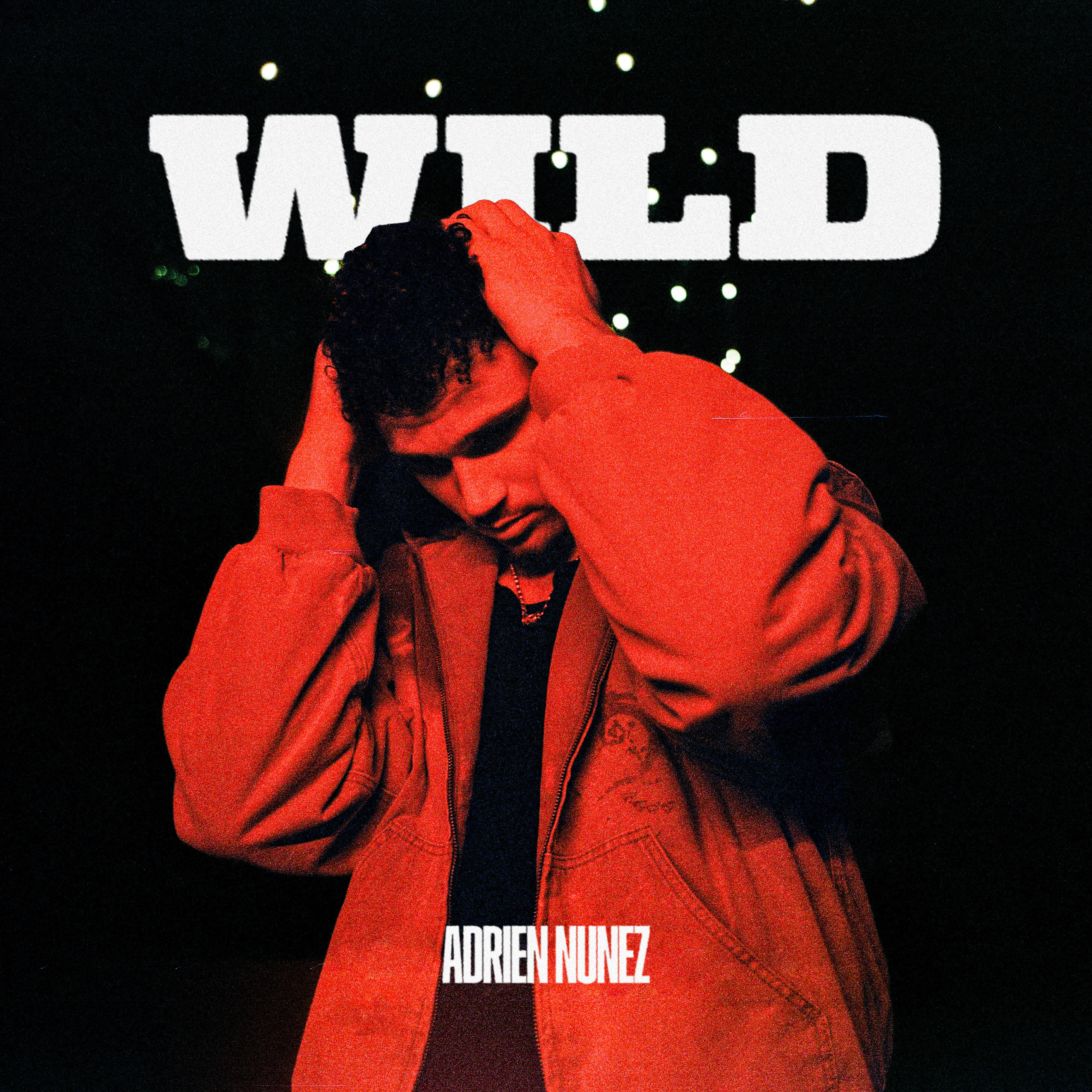 Релиз WILD
