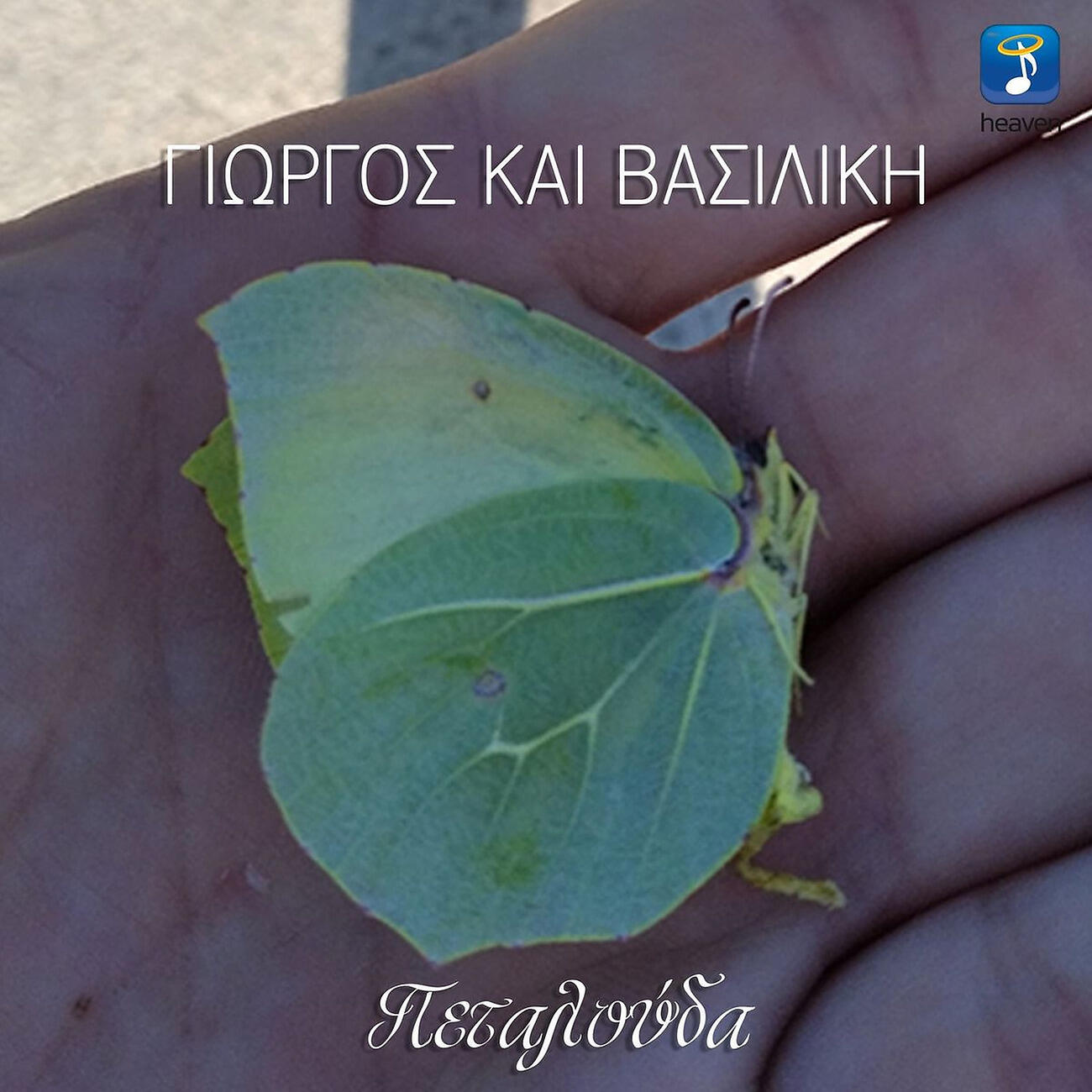 Релиз Petalouda