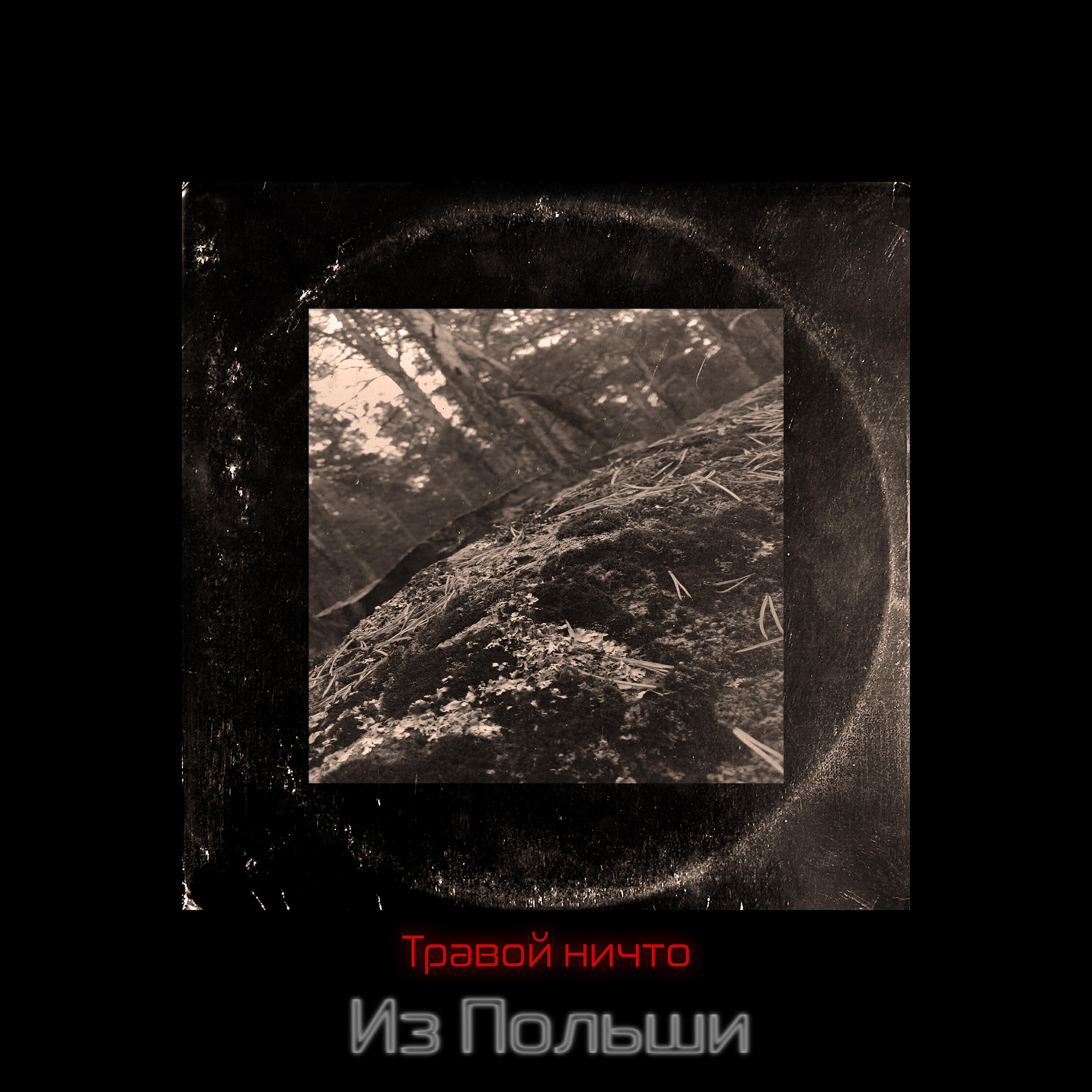 Релиз Из Польши
