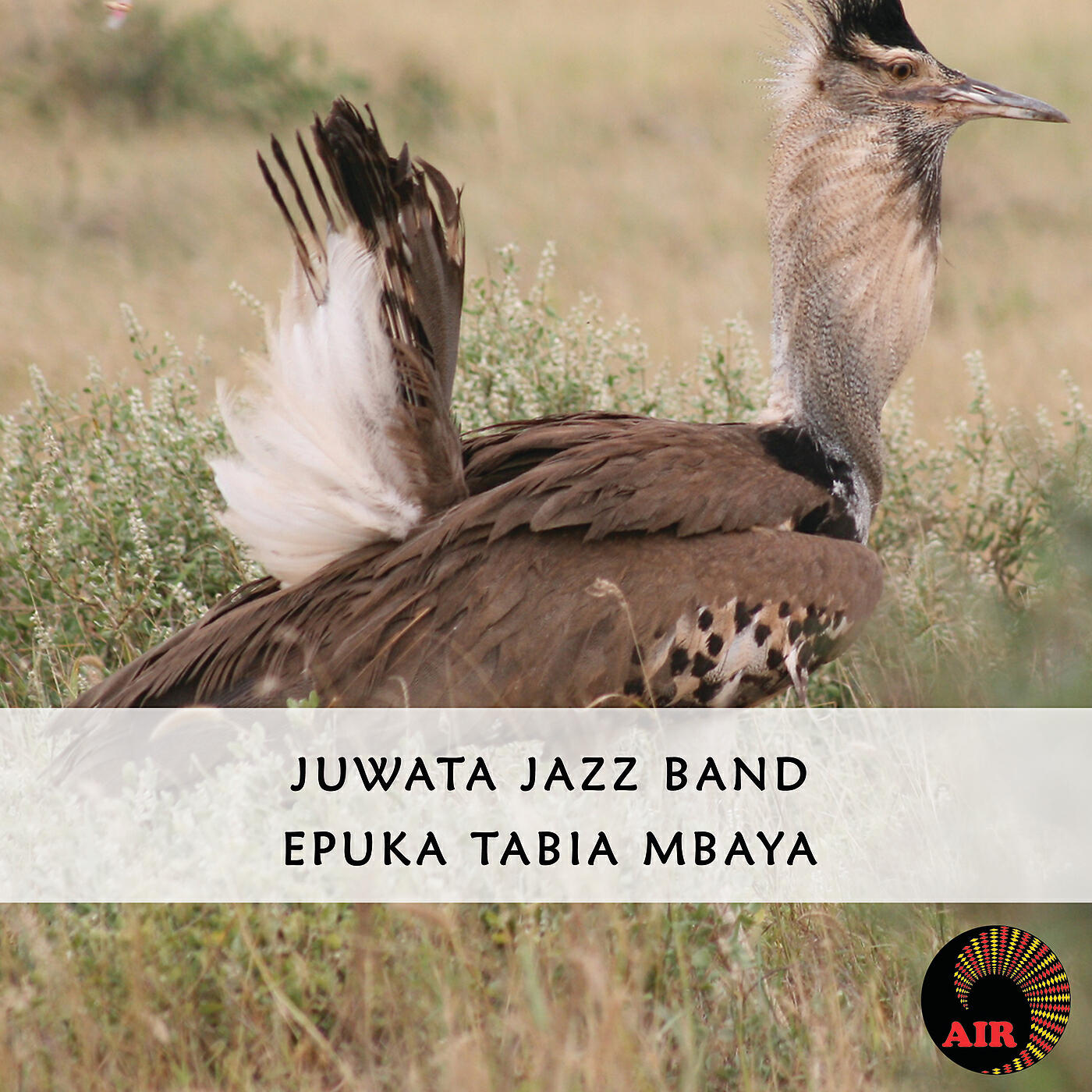 Релиз Epuka Tabia Mbaya