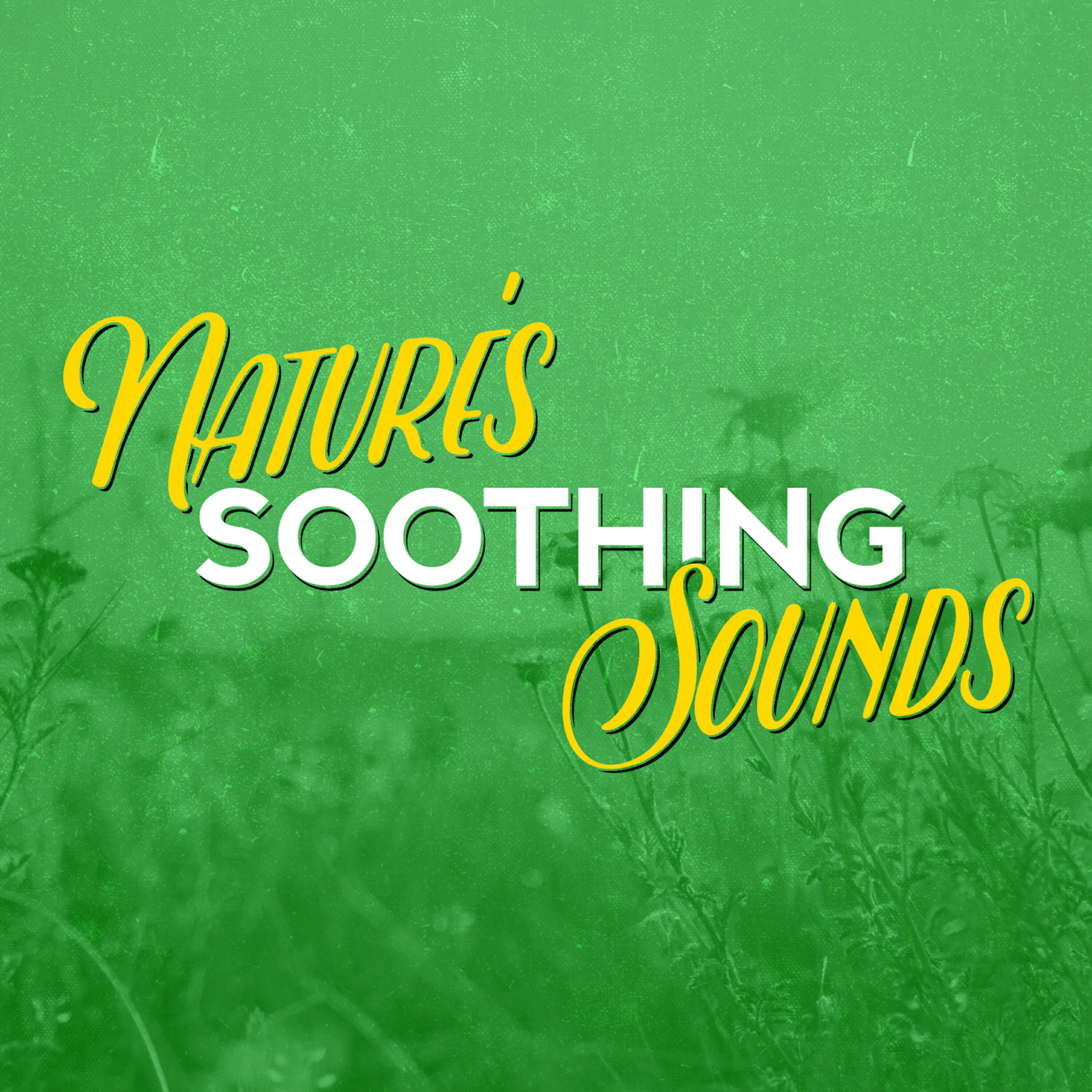 Релиз Nature's Soothing Sounds