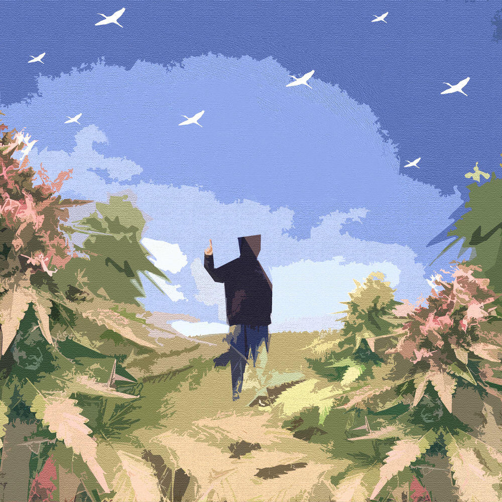 Релиз Still Smooth