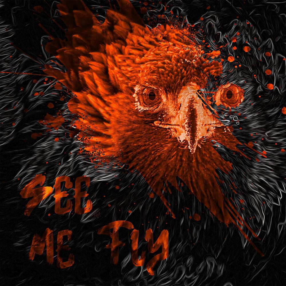 Релиз See Me Fly