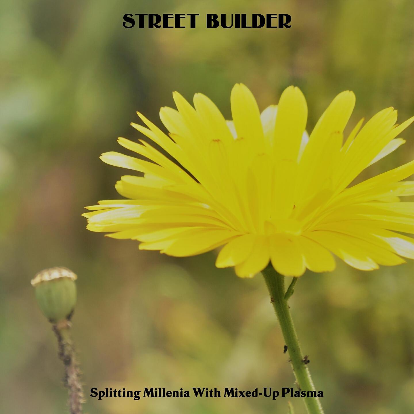 Релиз Street Builder
