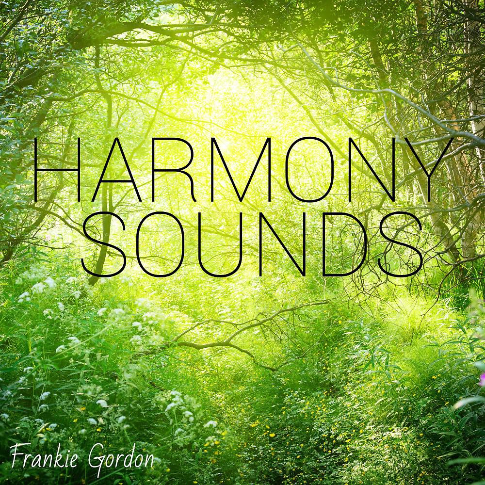 Релиз Harmony Sounds