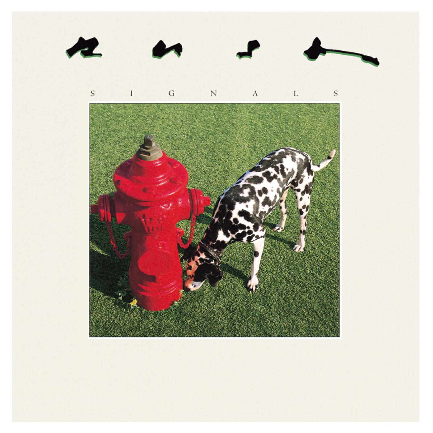Релиз Signals