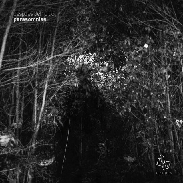 Después del Ruido
