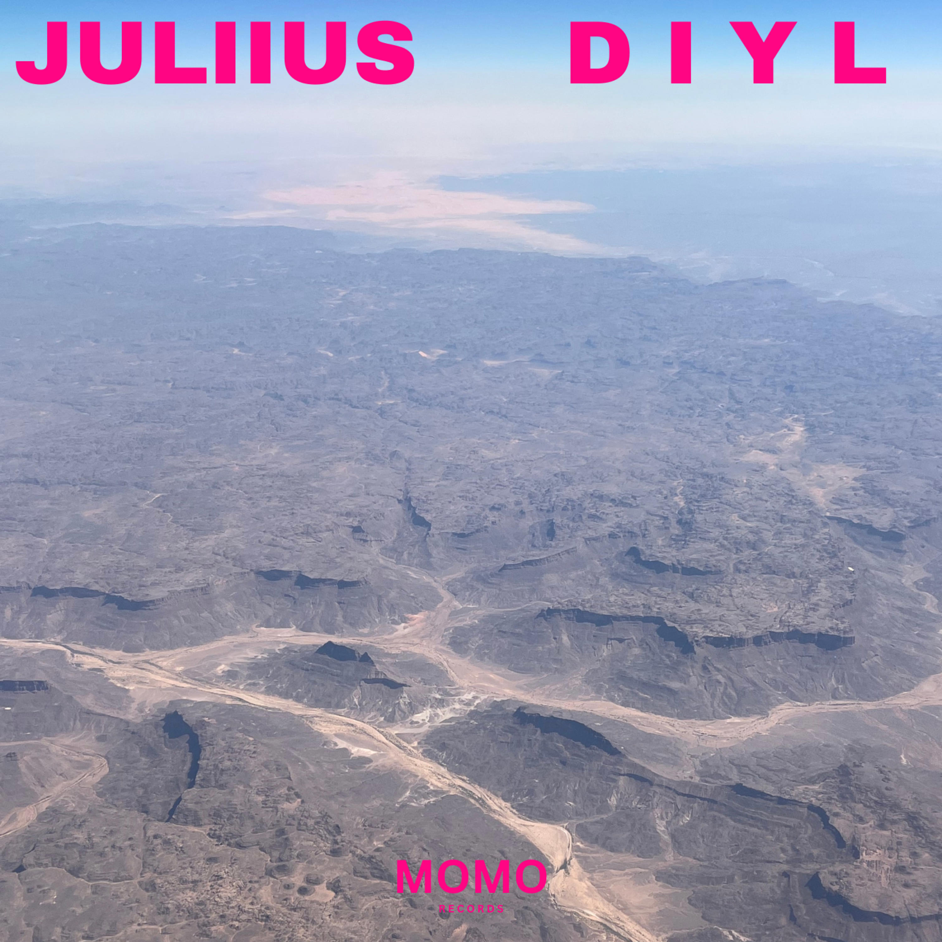 Релиз D I Y L