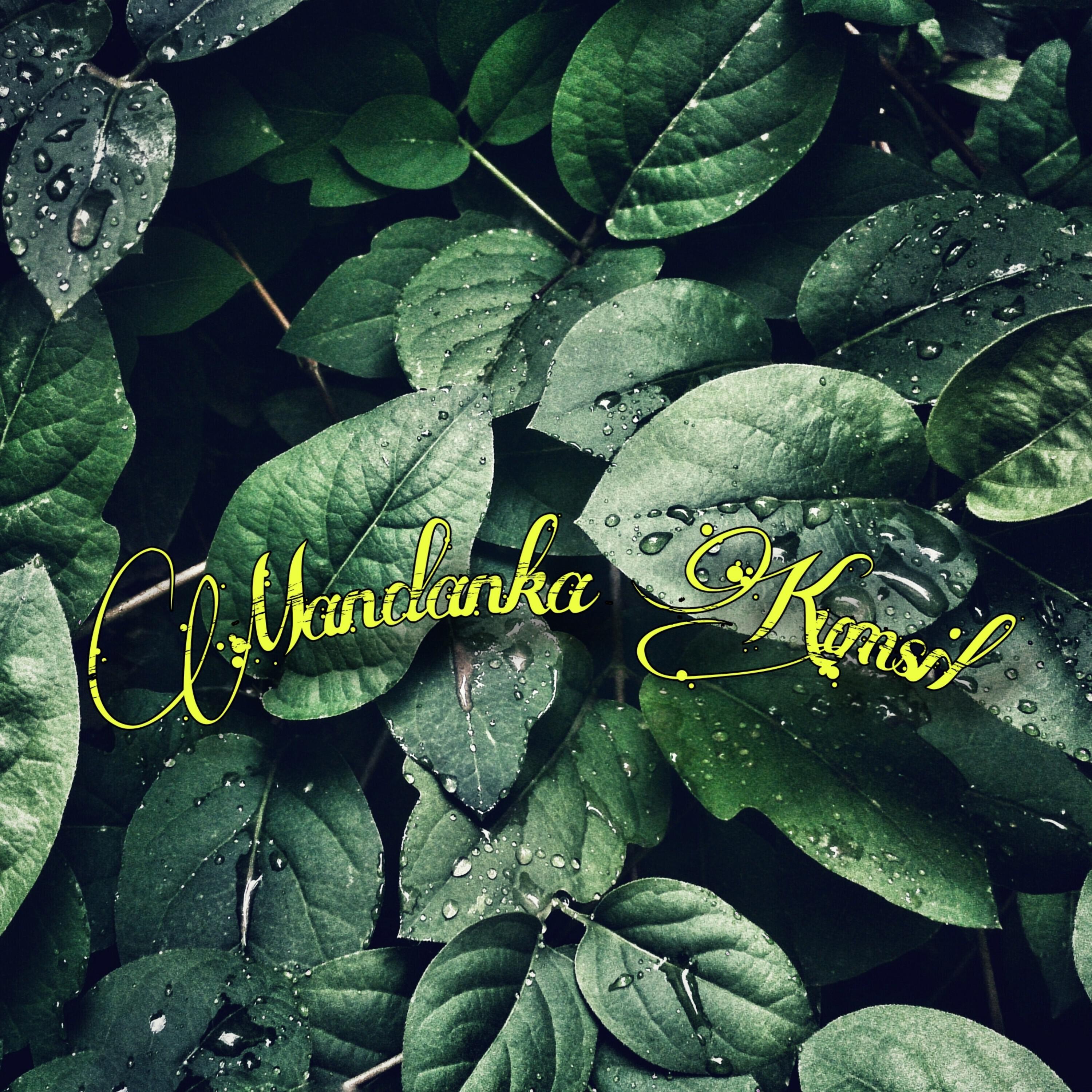 Релиз Mandaka Kumsil