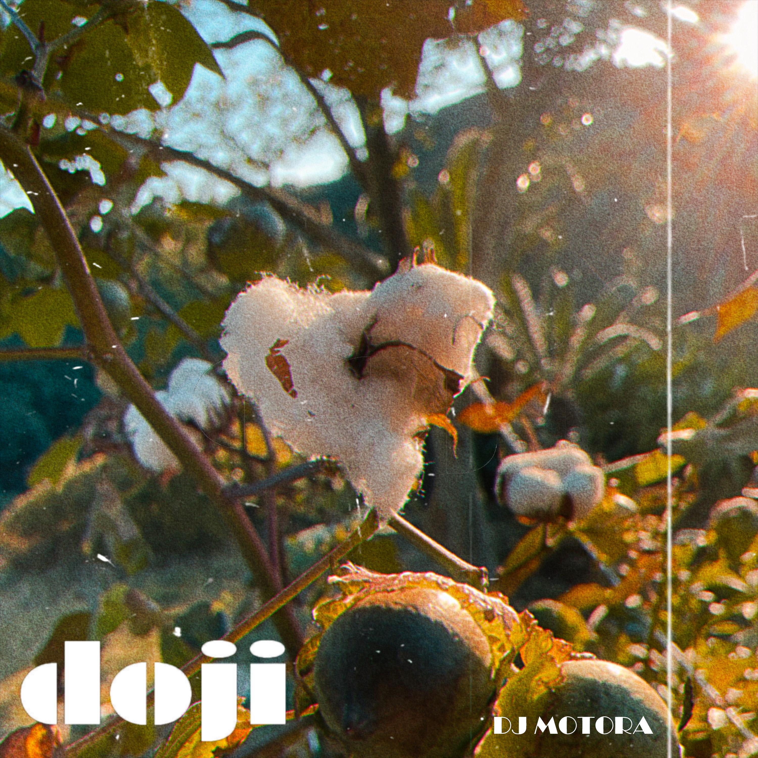 Релиз doji