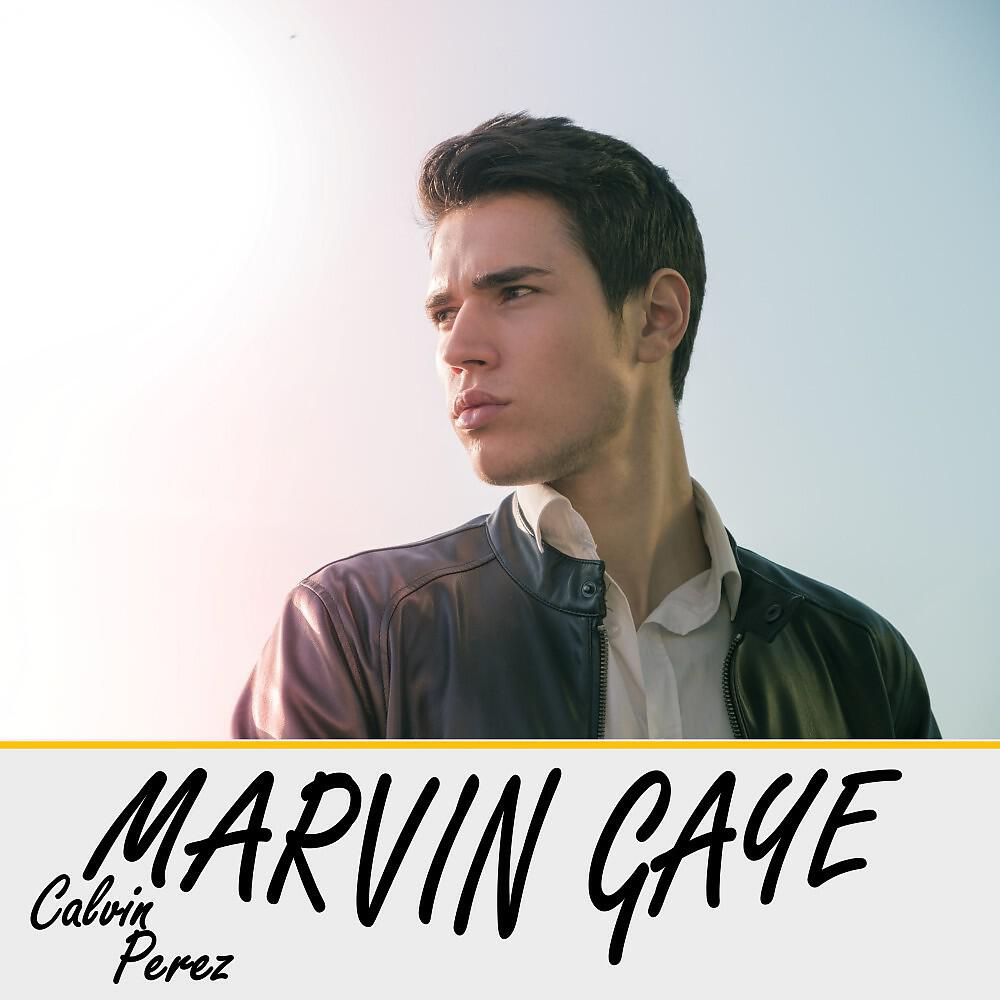 Релиз Marvin Gaye