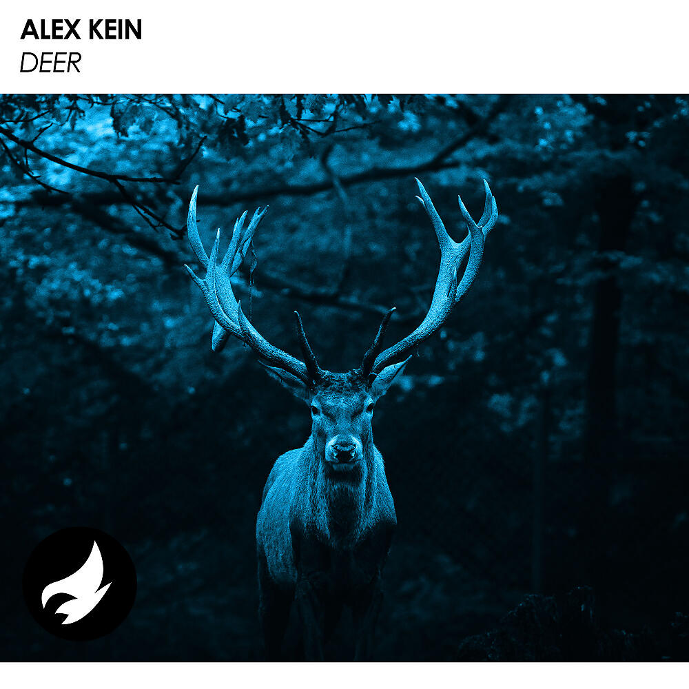Релиз Deer