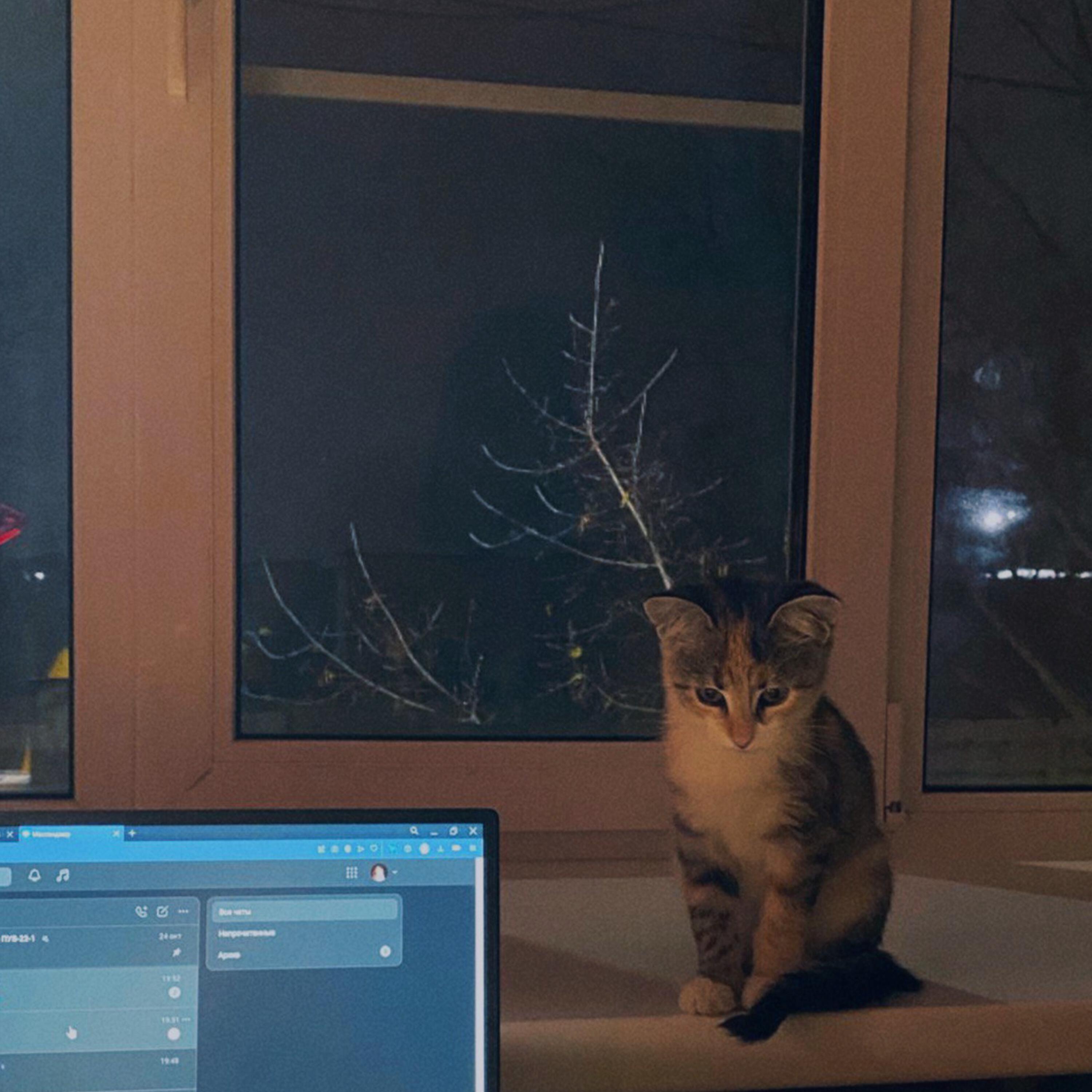 Релиз я позвал тебя гулять