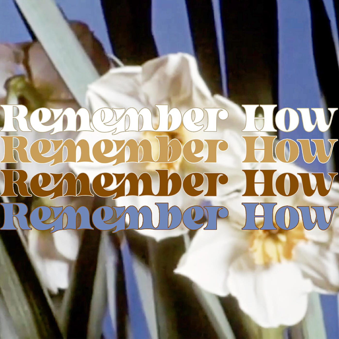 Релиз Remember How