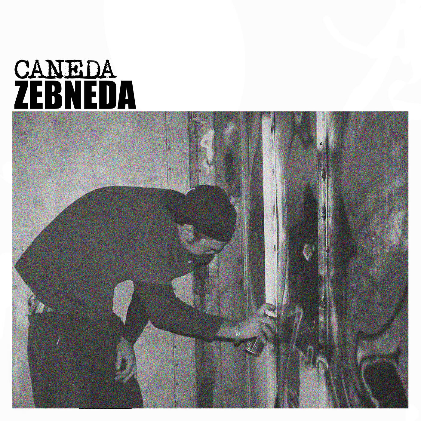 Релиз Zebneda