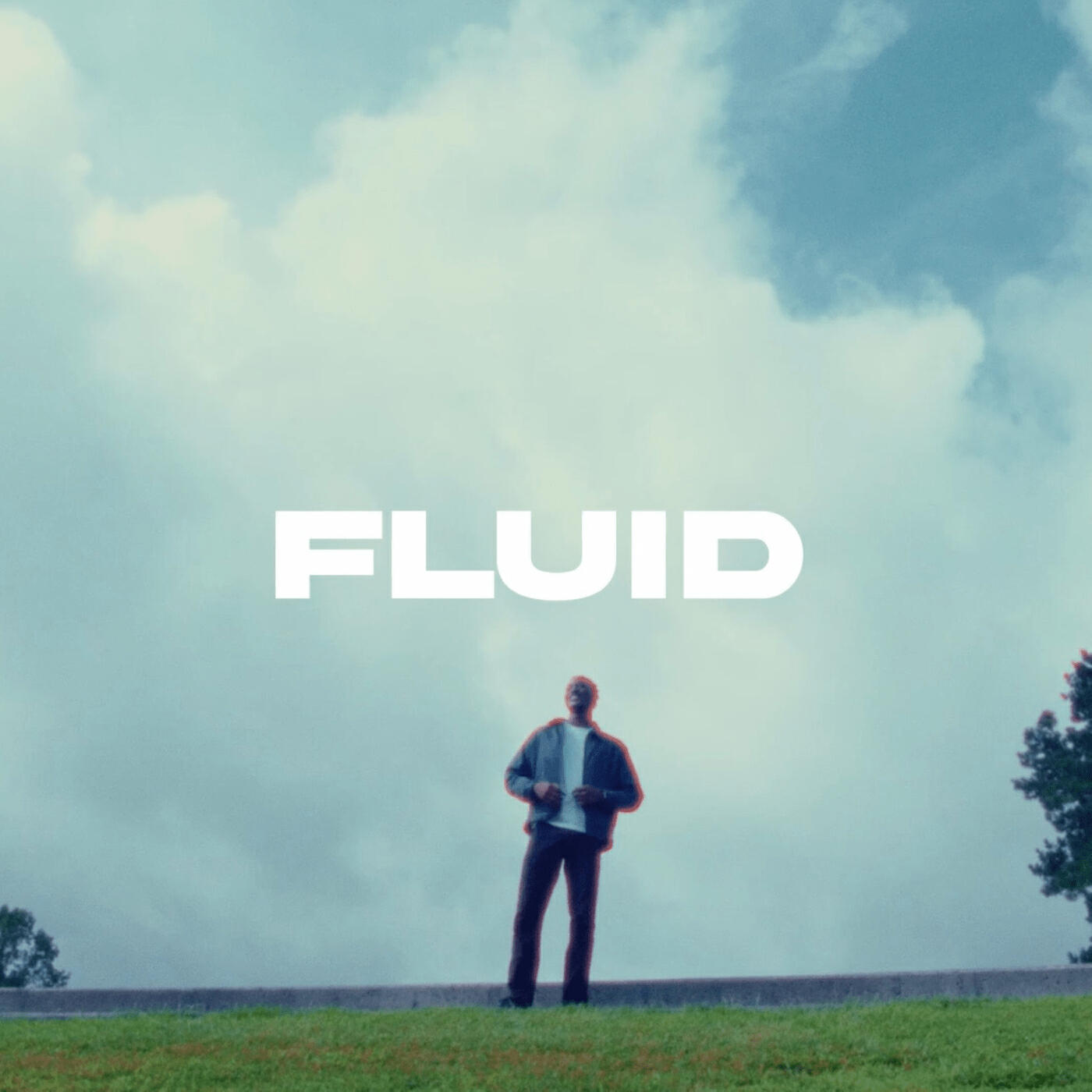 Релиз Fluid