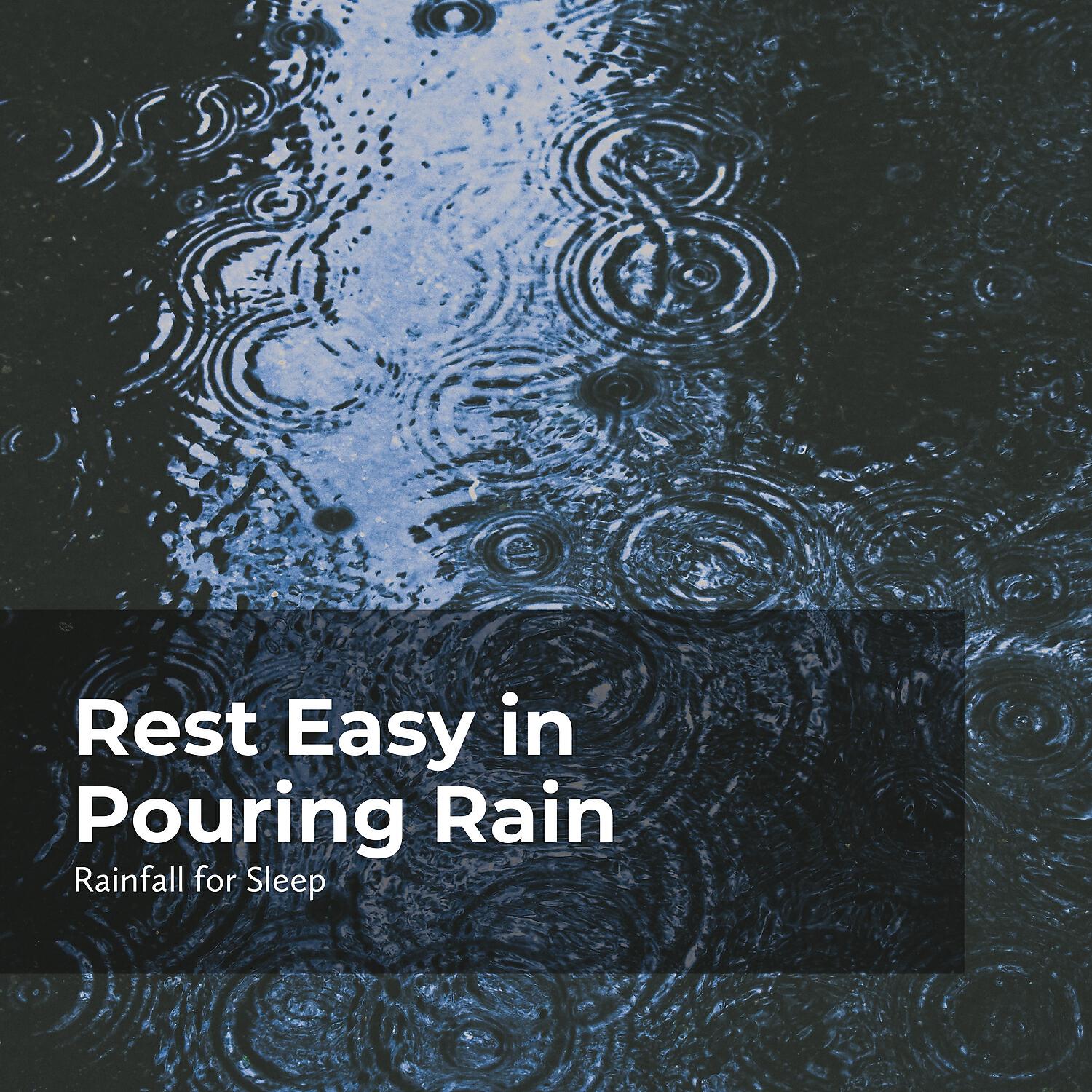 Релиз Rest Easy in Pouring Rain