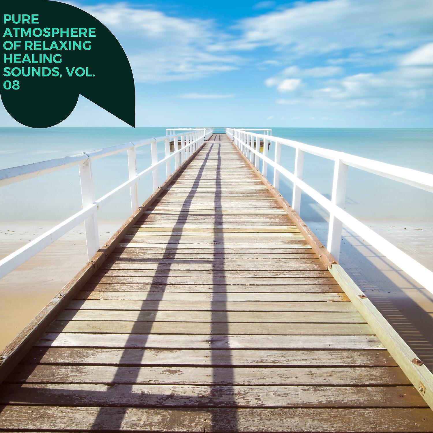 Релиз Pure Atmosphere of Relaxing Healing Sounds, Vol. 08