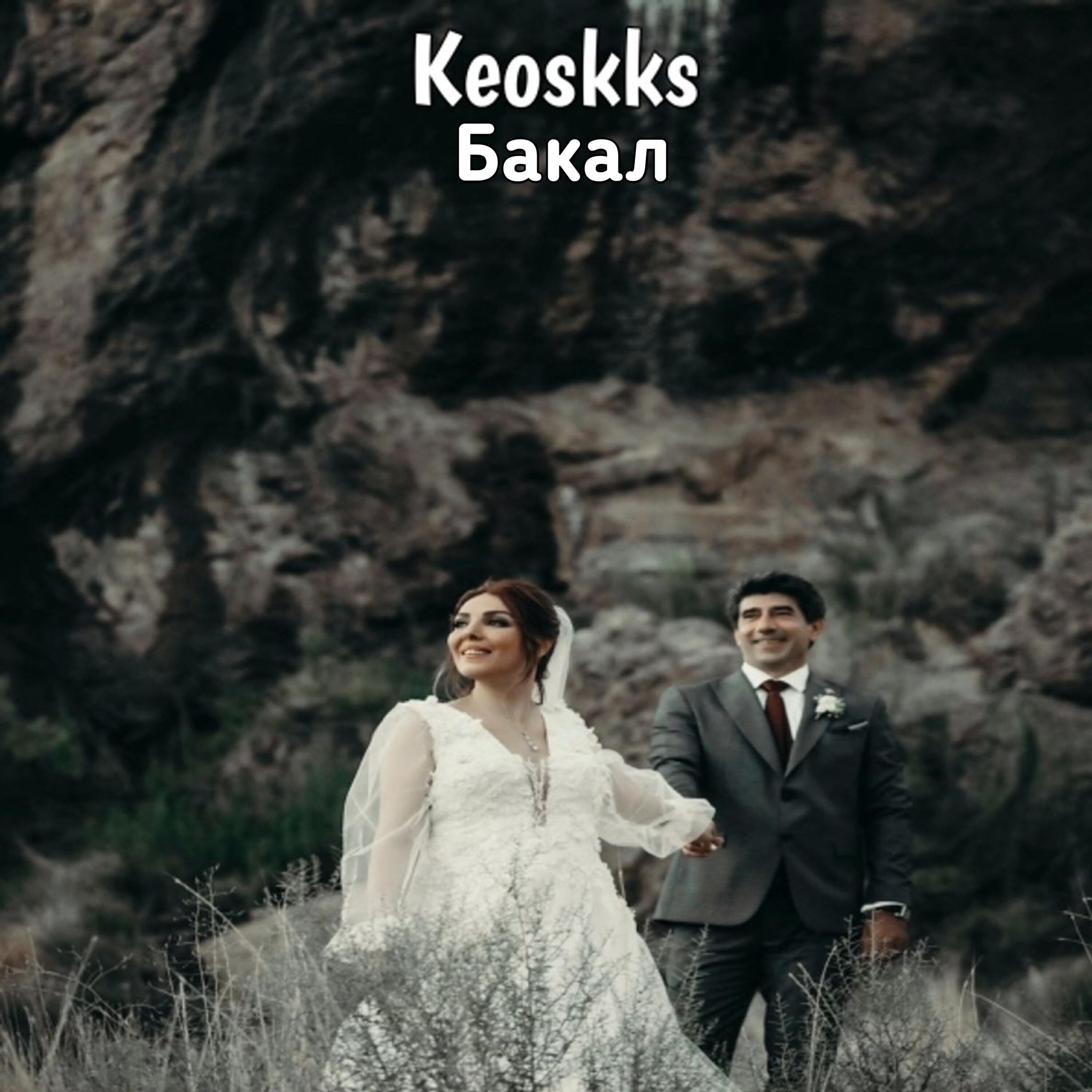 Релиз Бакал