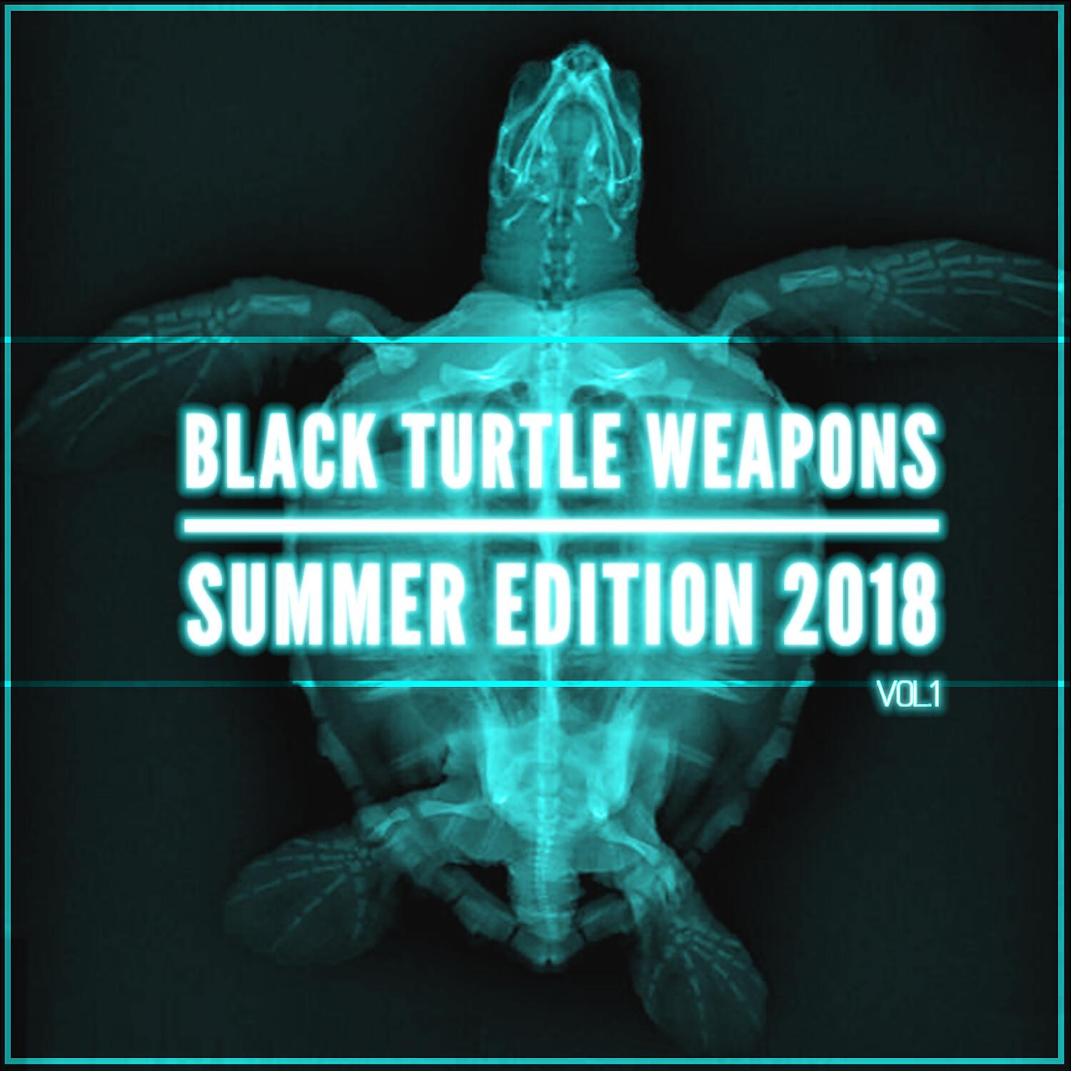 Релиз Black Turtle Weapons Summer Edition 2018 Vol.1