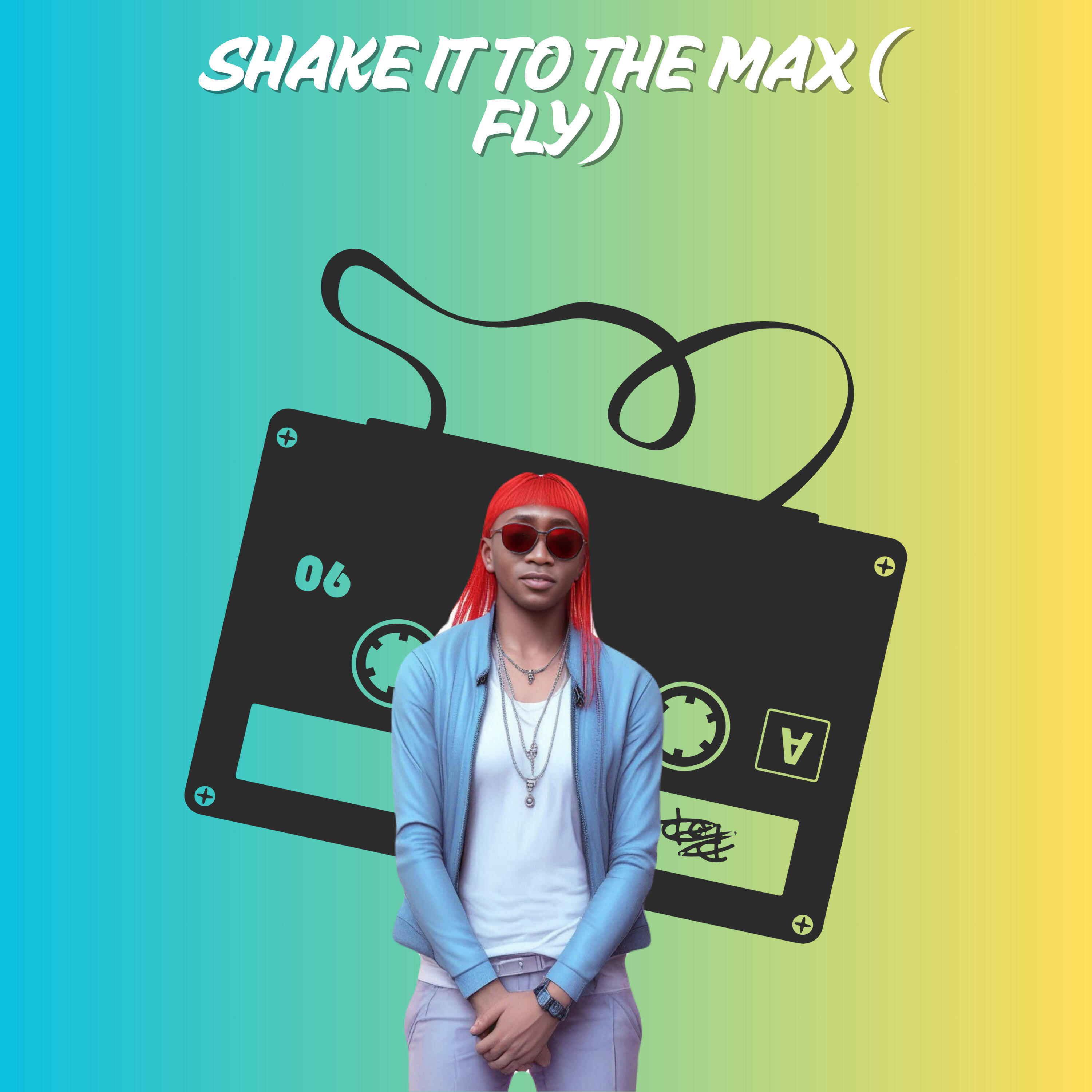 Релиз Shake It To The Max ( Fly )