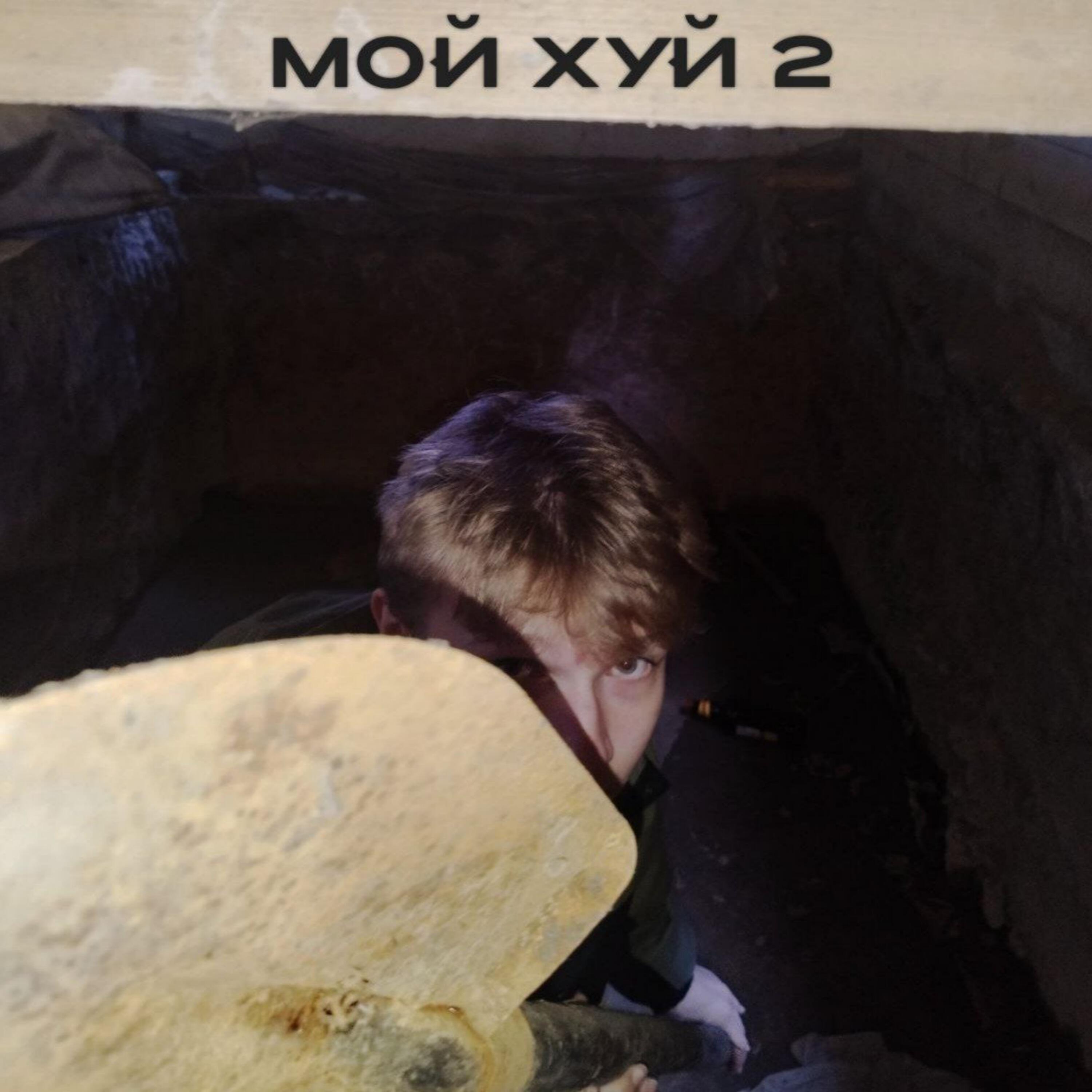 Постер альбома МОЙ ХУЙ 2