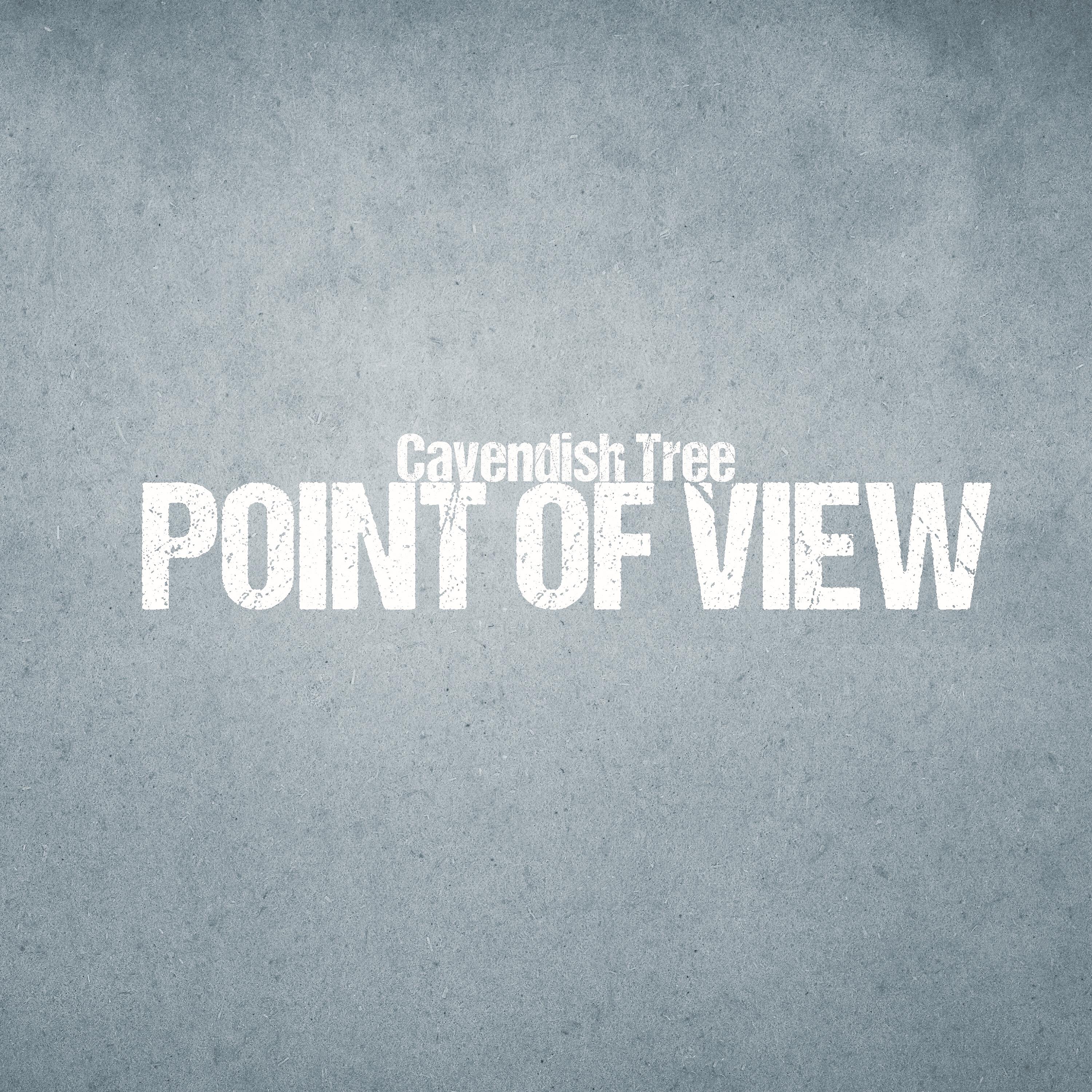 Релиз Point of View