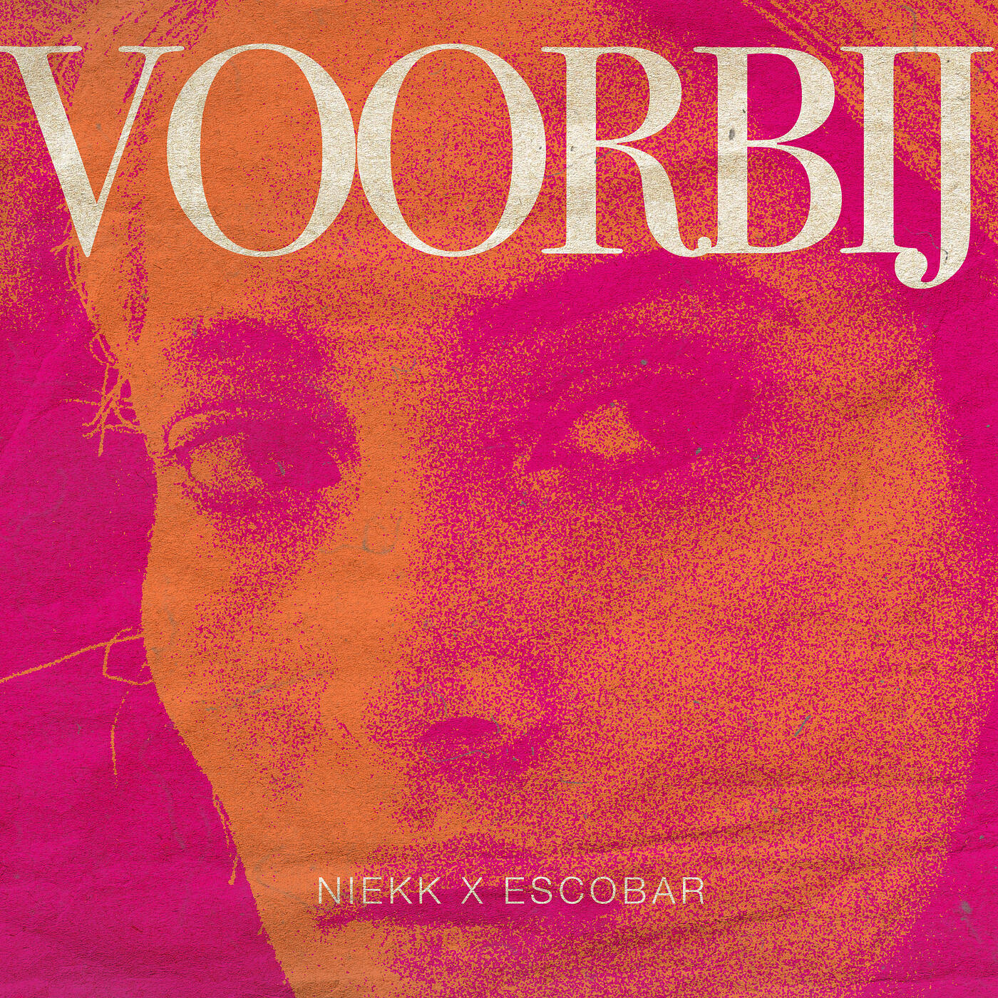 Постер альбома Voorbij