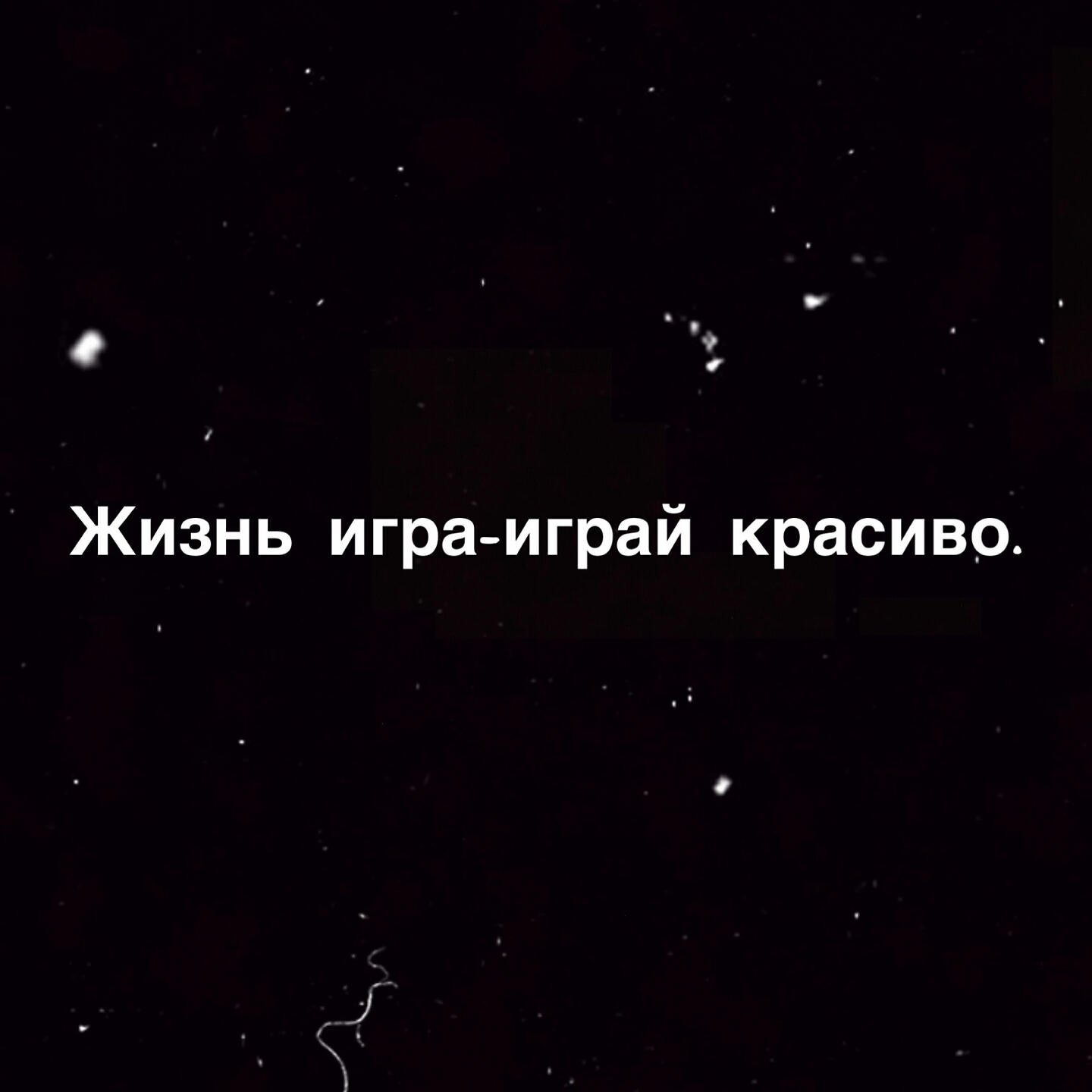 Стёпа Котик
