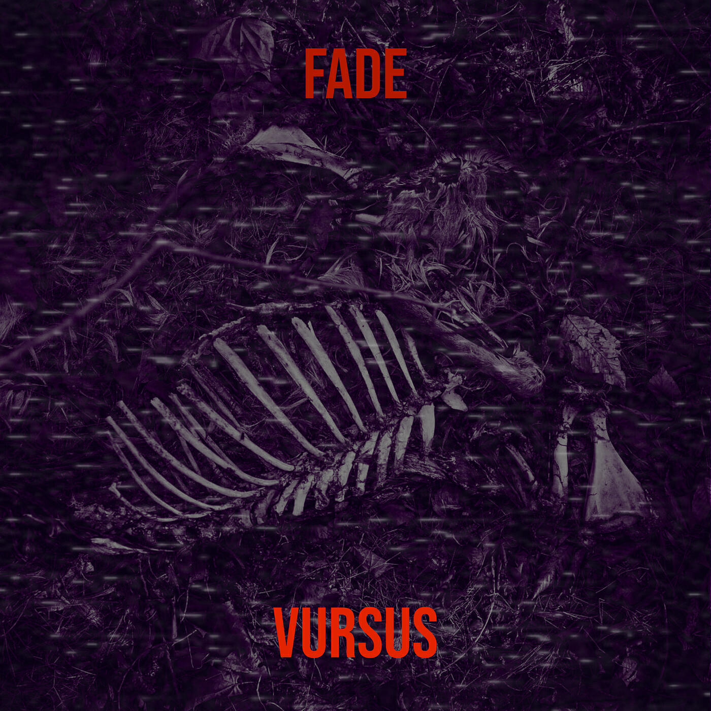 Релиз Fade
