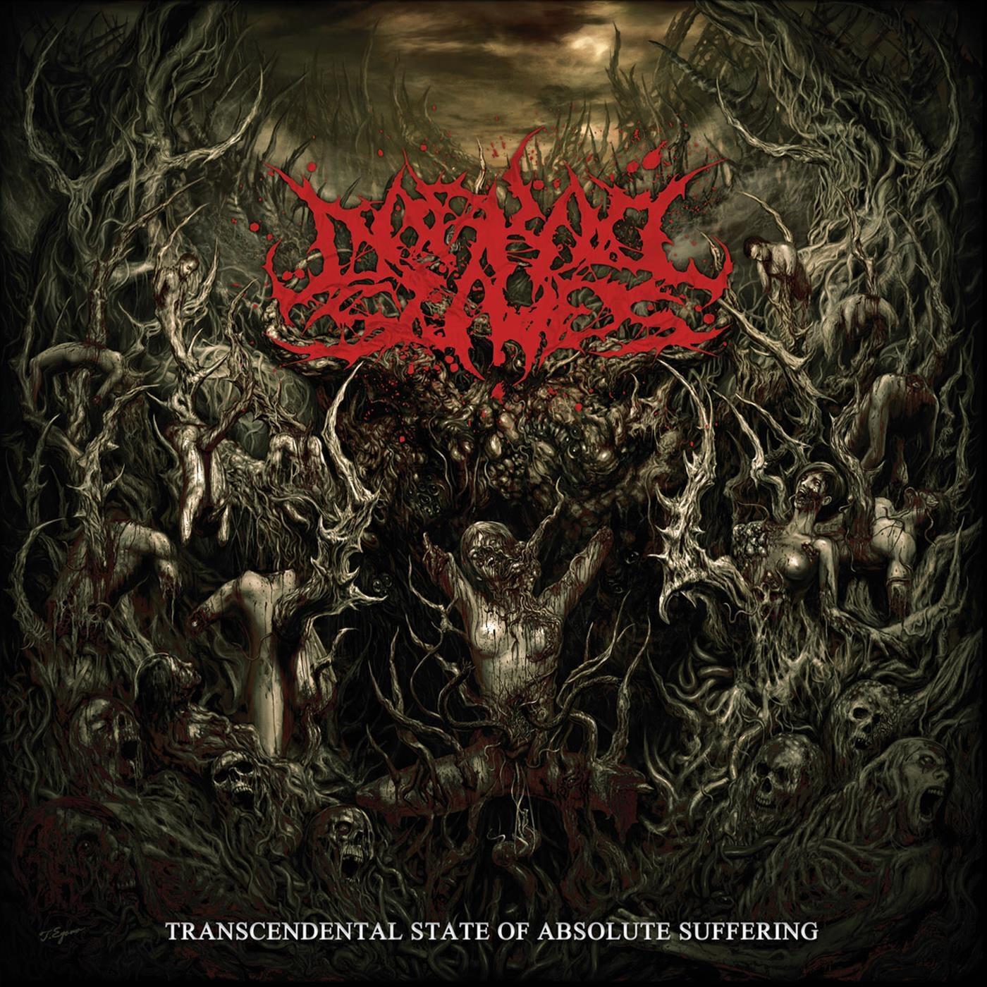 Релиз Transcendental State of Absolute Suffering