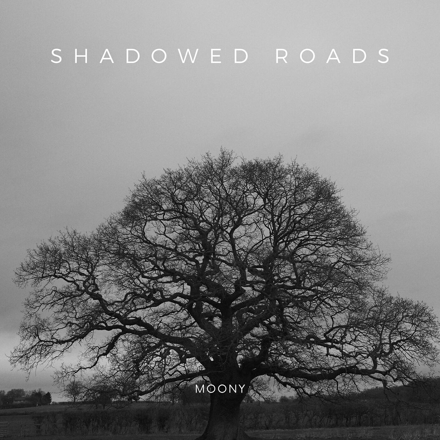 Релиз Shadowed Roads