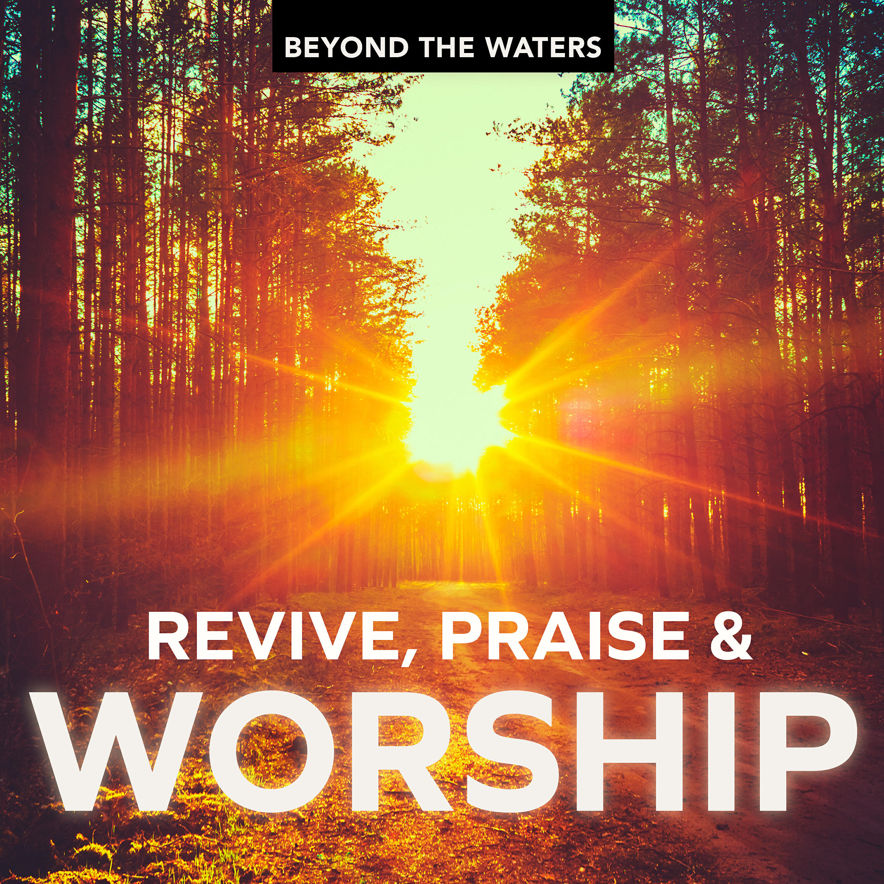 Релиз Revive, Praise and Worship