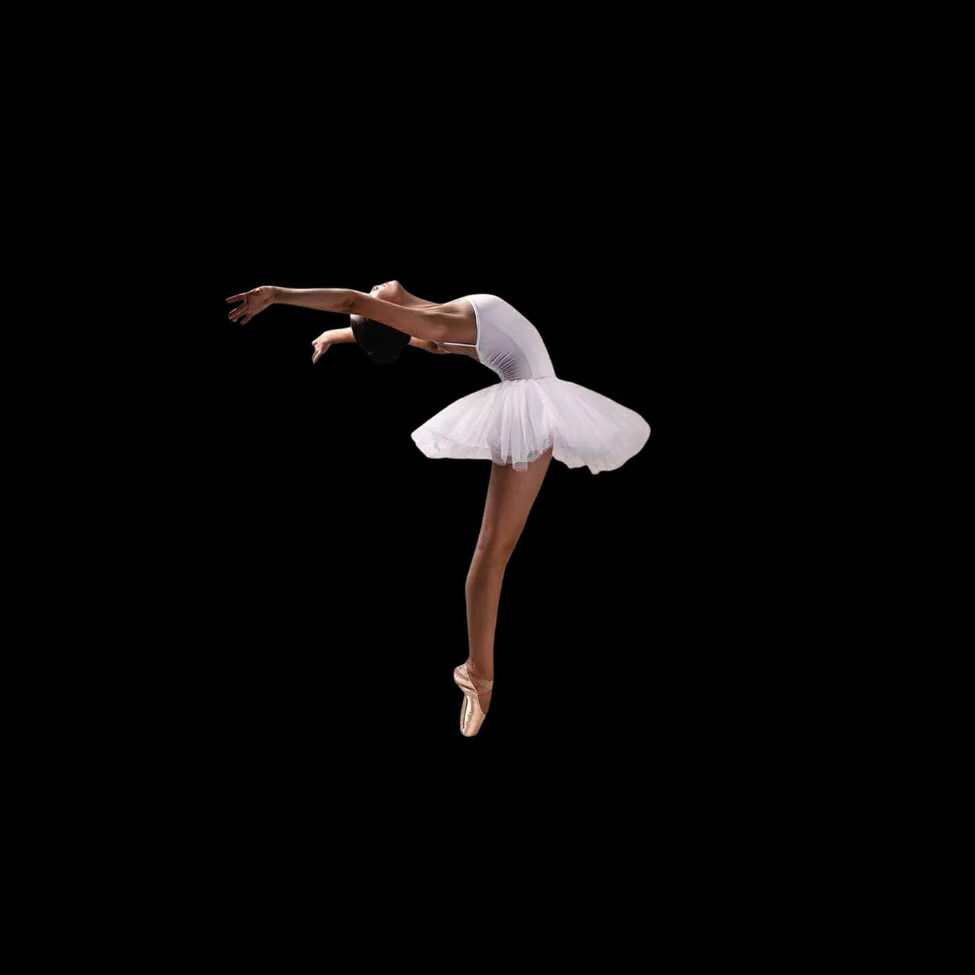 Релиз Repetto