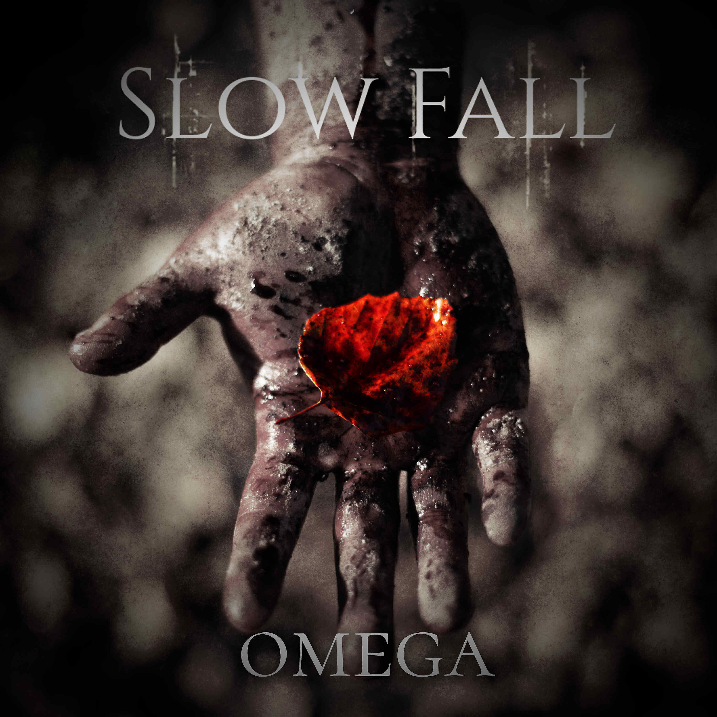 Релиз Omega