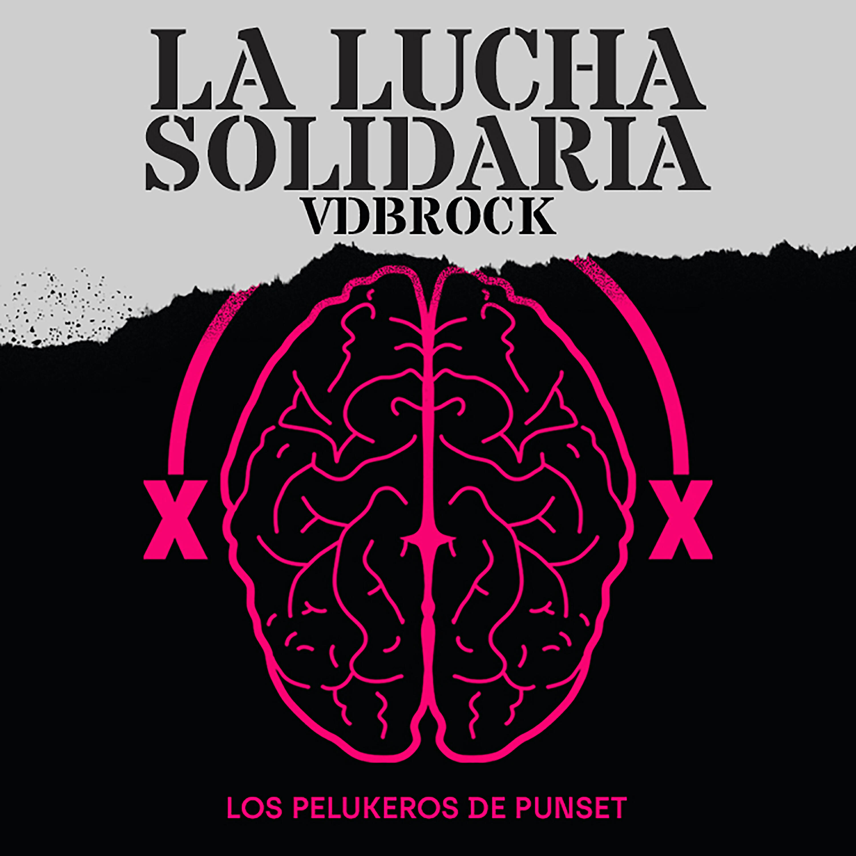 Релиз La Lucha Solidaria (VDBROCK)